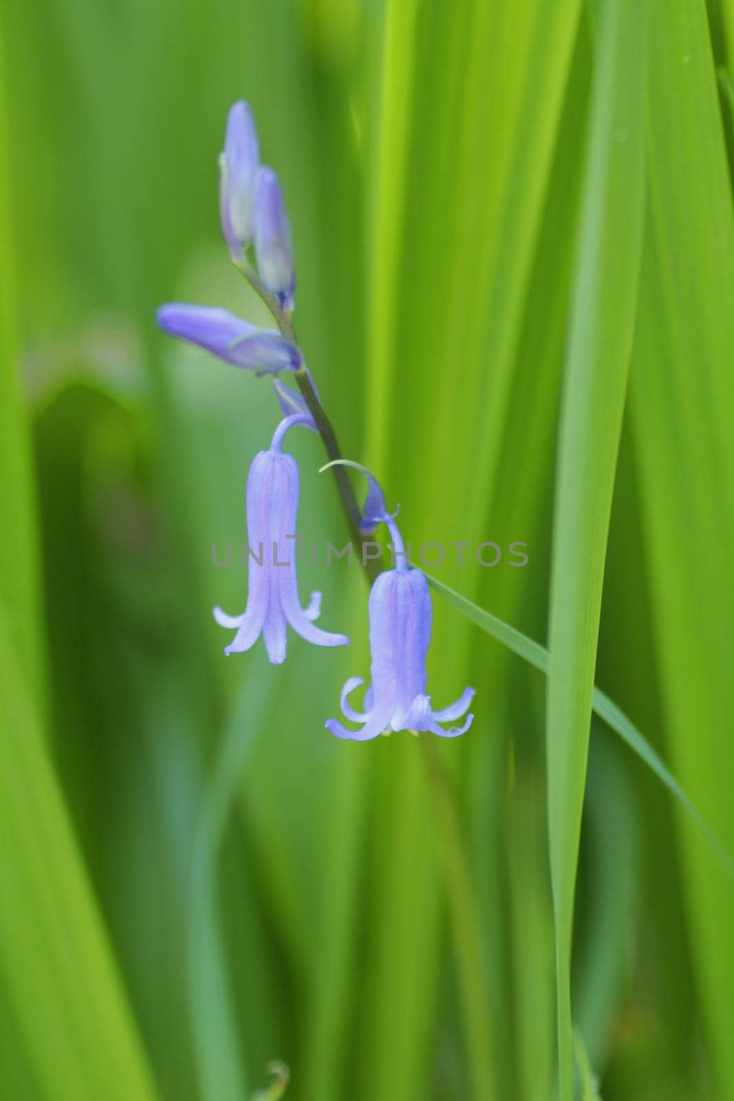 May