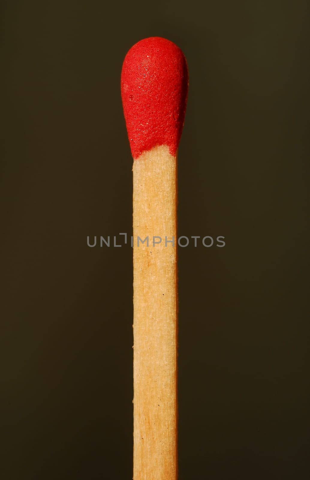 ... taken with Sigma 50mm Ex macro on Nikon D200 with f/13,scale 1:1