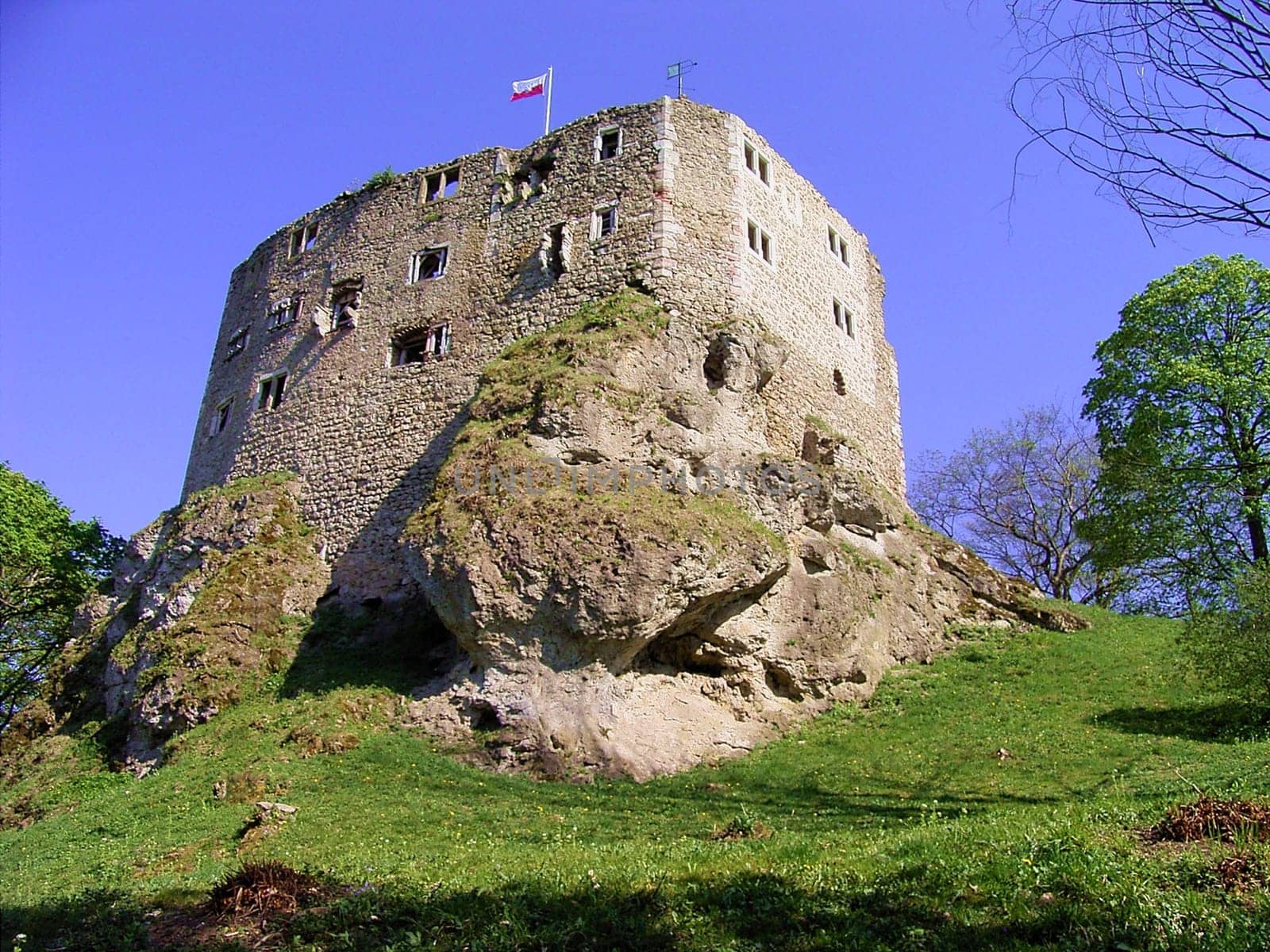 Castle ruins near Bad Liebenstein