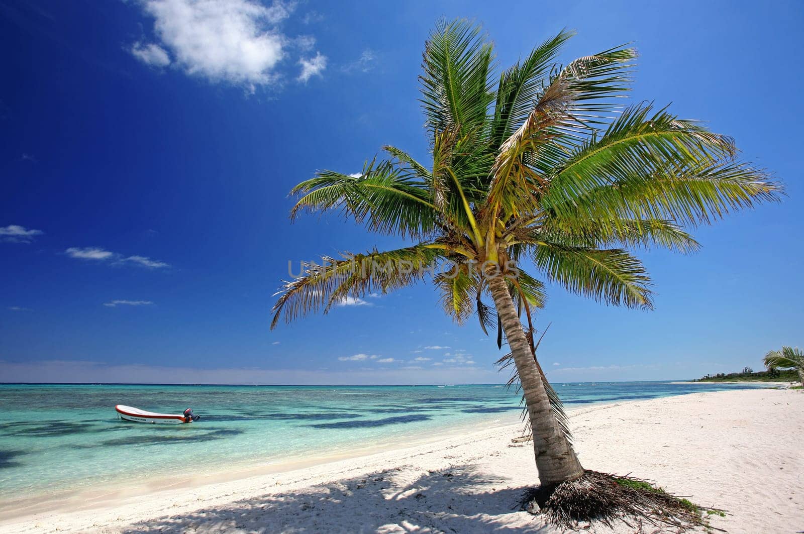 Summer,sun,beach and sea