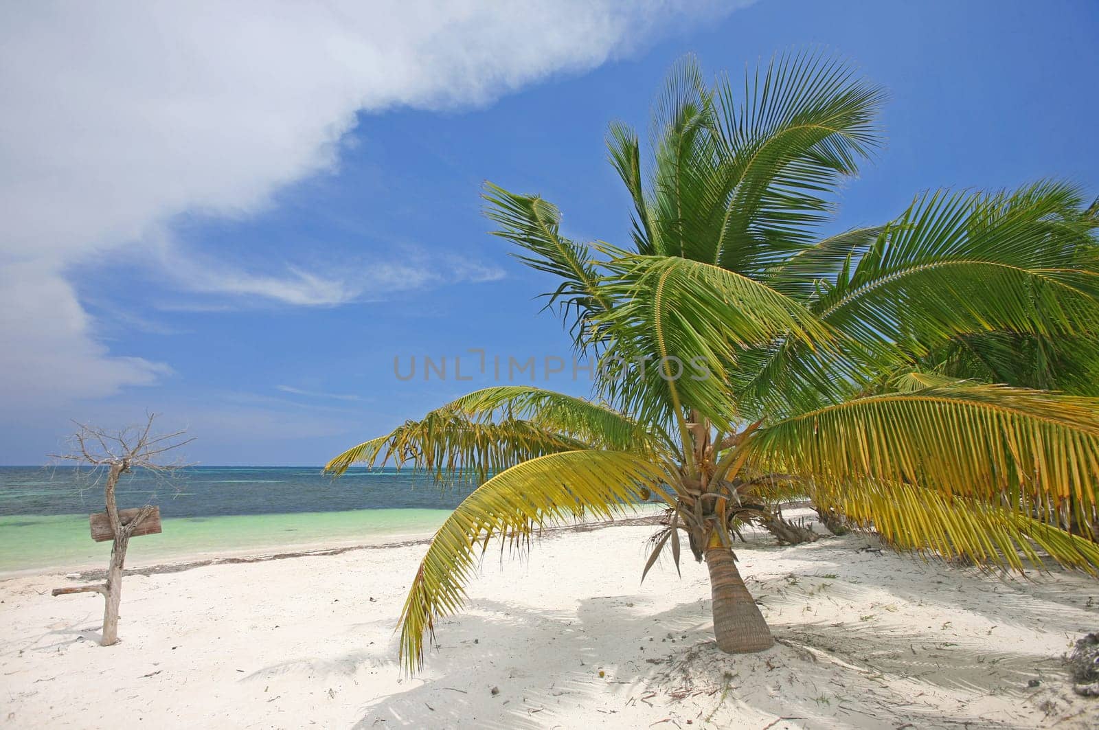 Yucatan