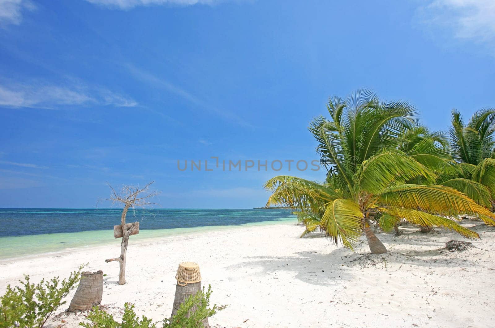 Punta Allen