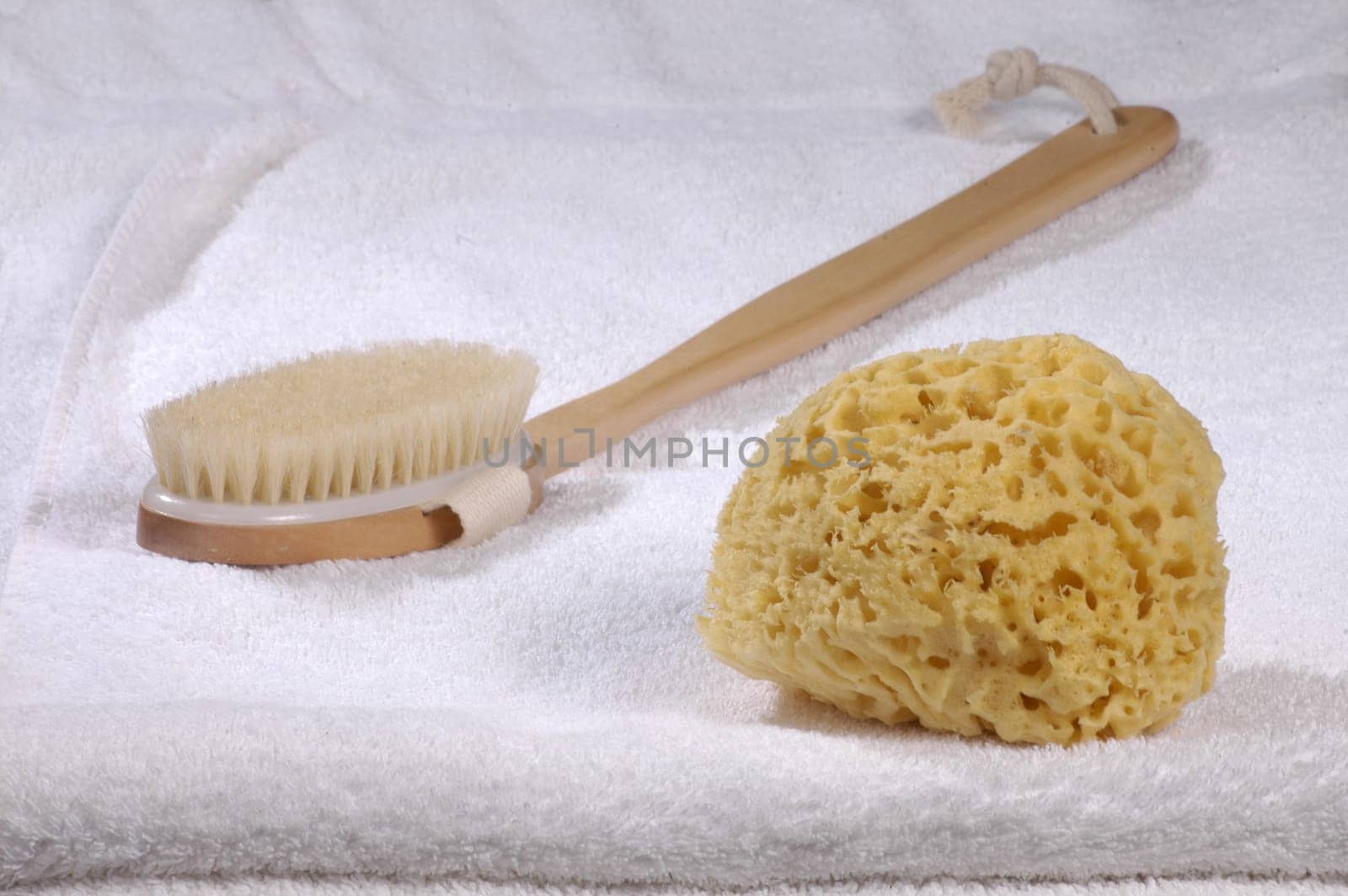Sponge with brush on a towel