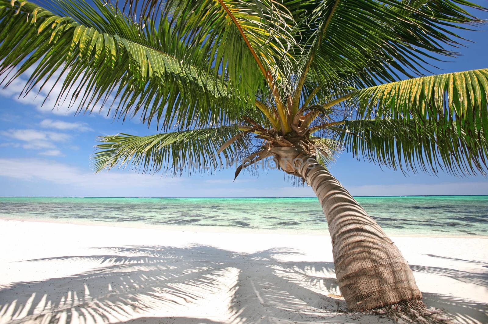 Beach idyll