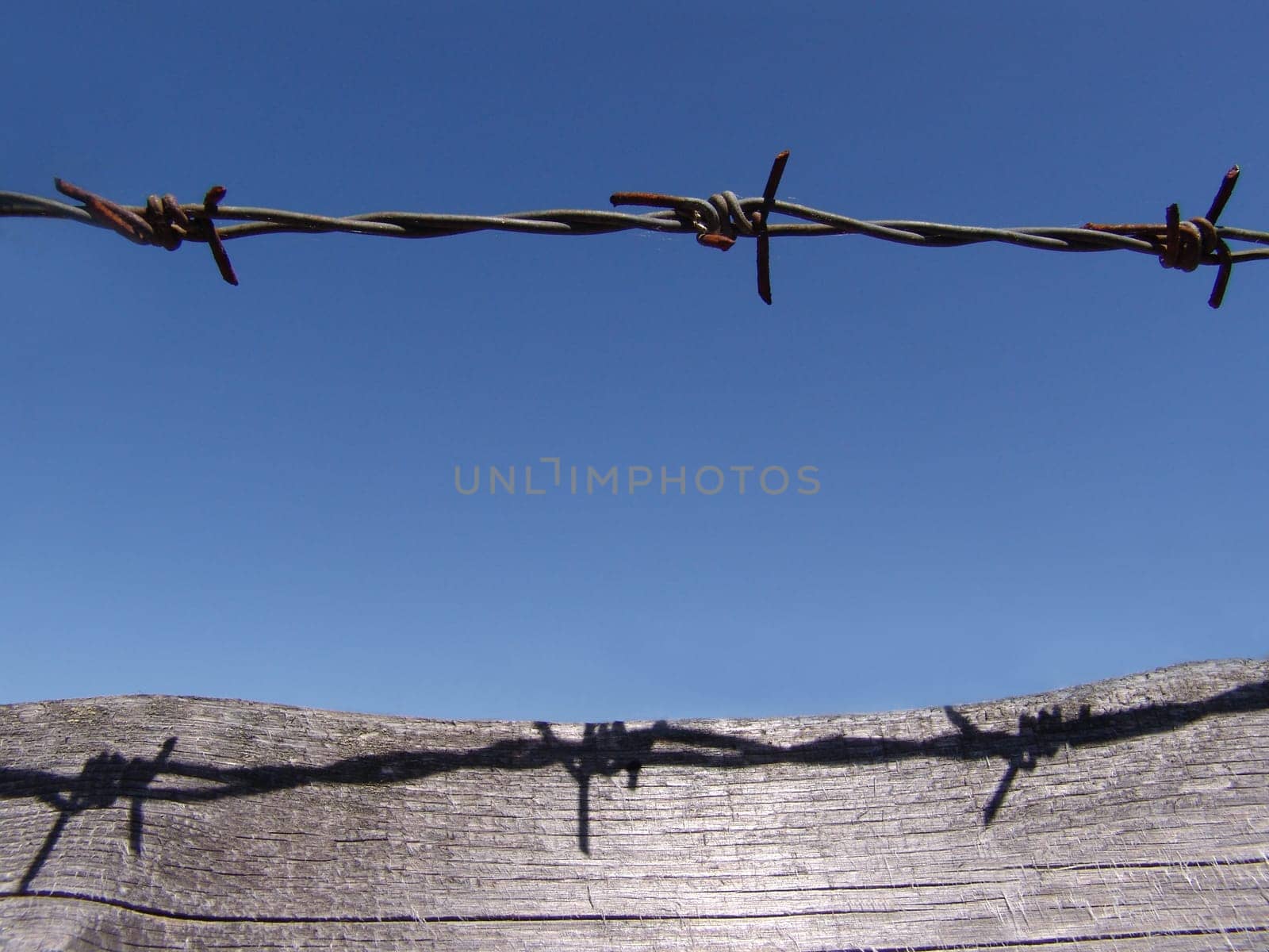 Barbed wire