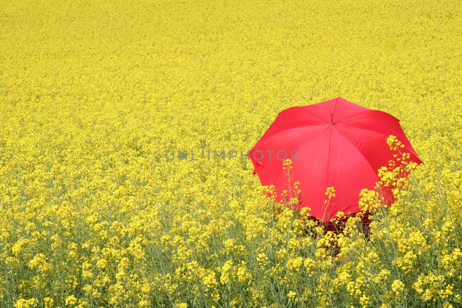 Red and yellow