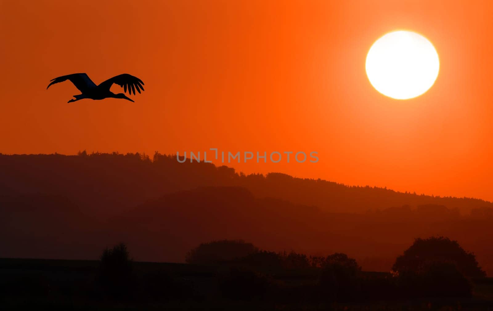 Taken this morning at sunrise at our stork settlement. I wish everyone a wonderful first of May.