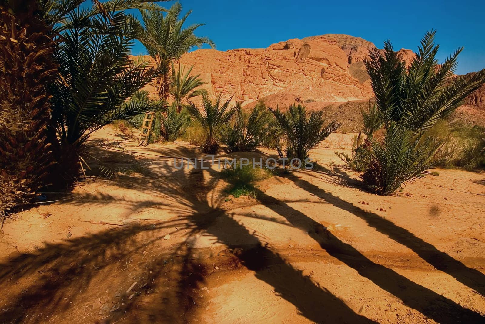 Long shadows