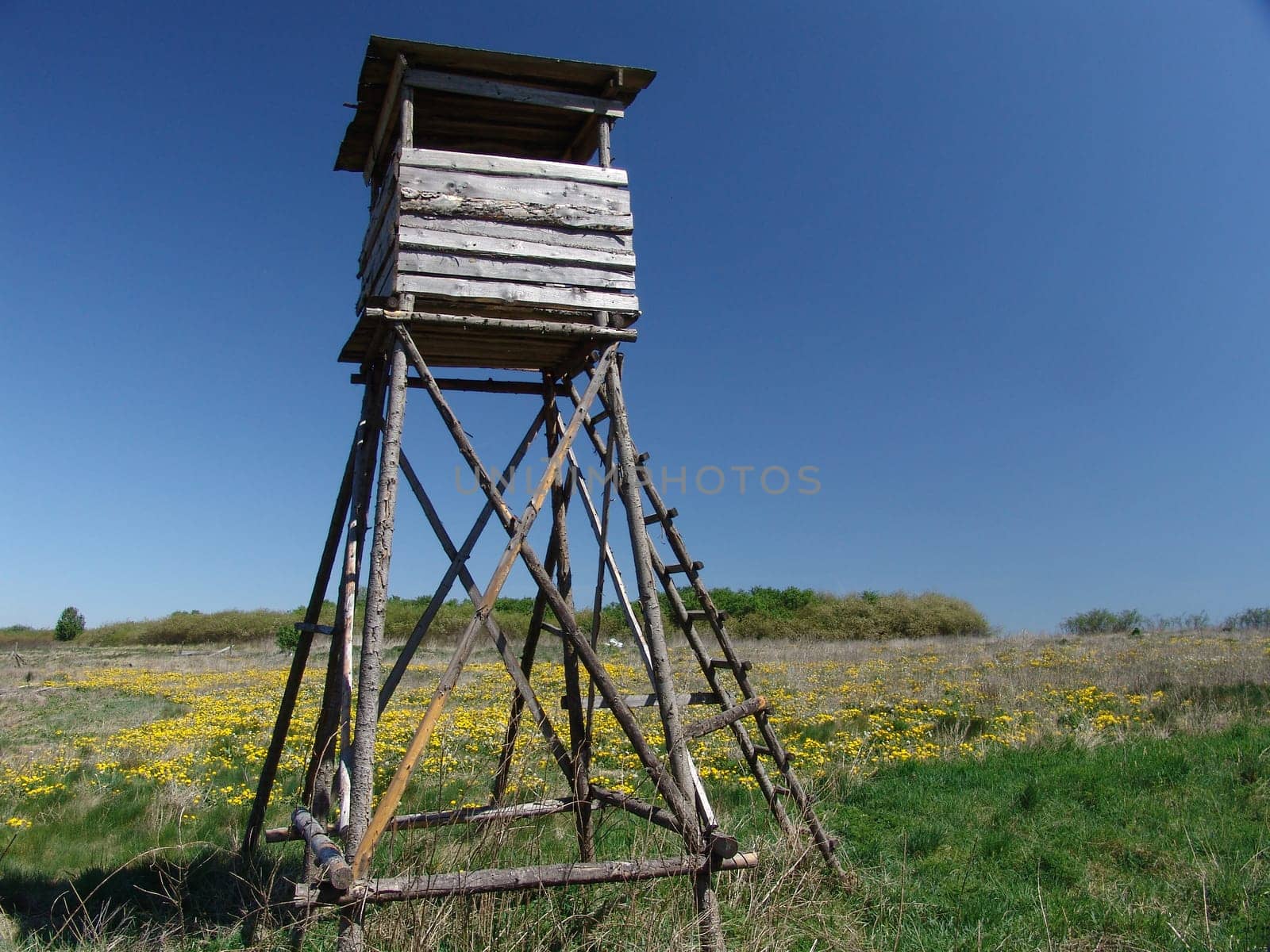 Hunter's seat
