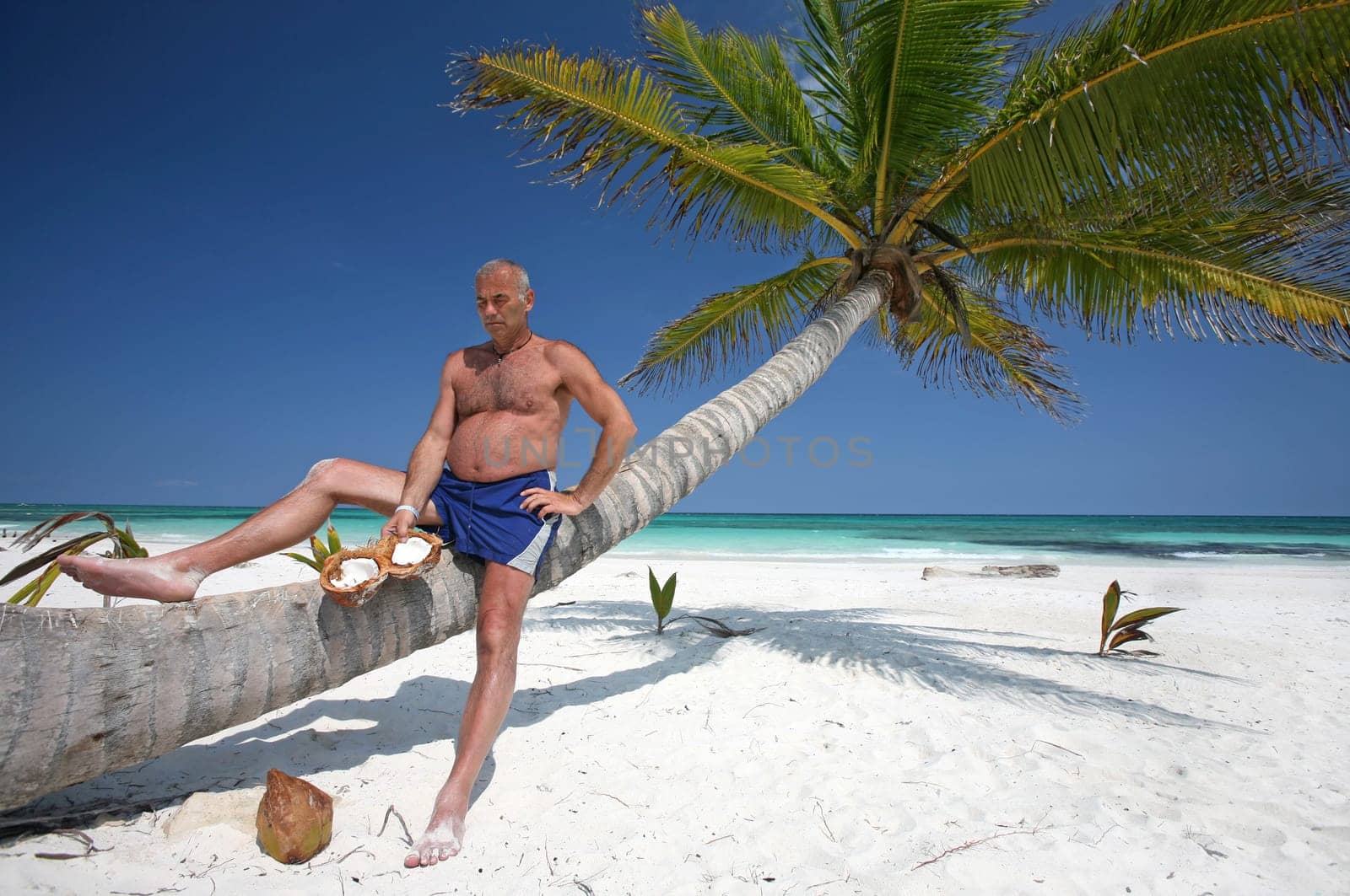Coconut opener
