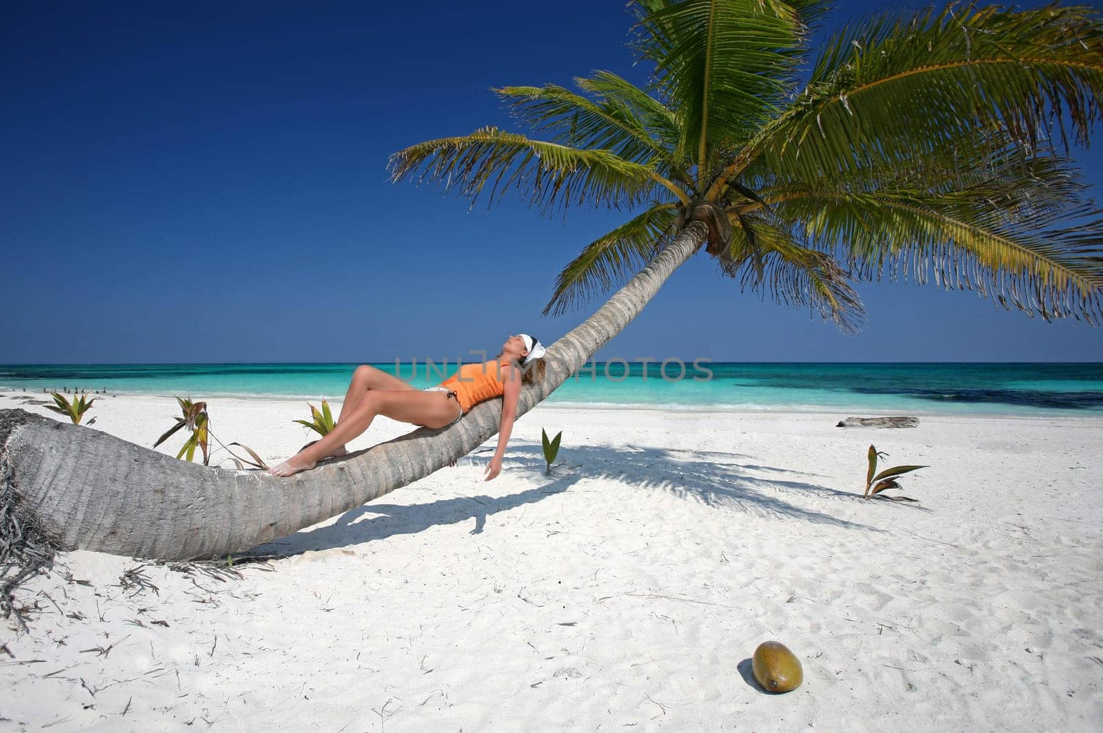 Relax