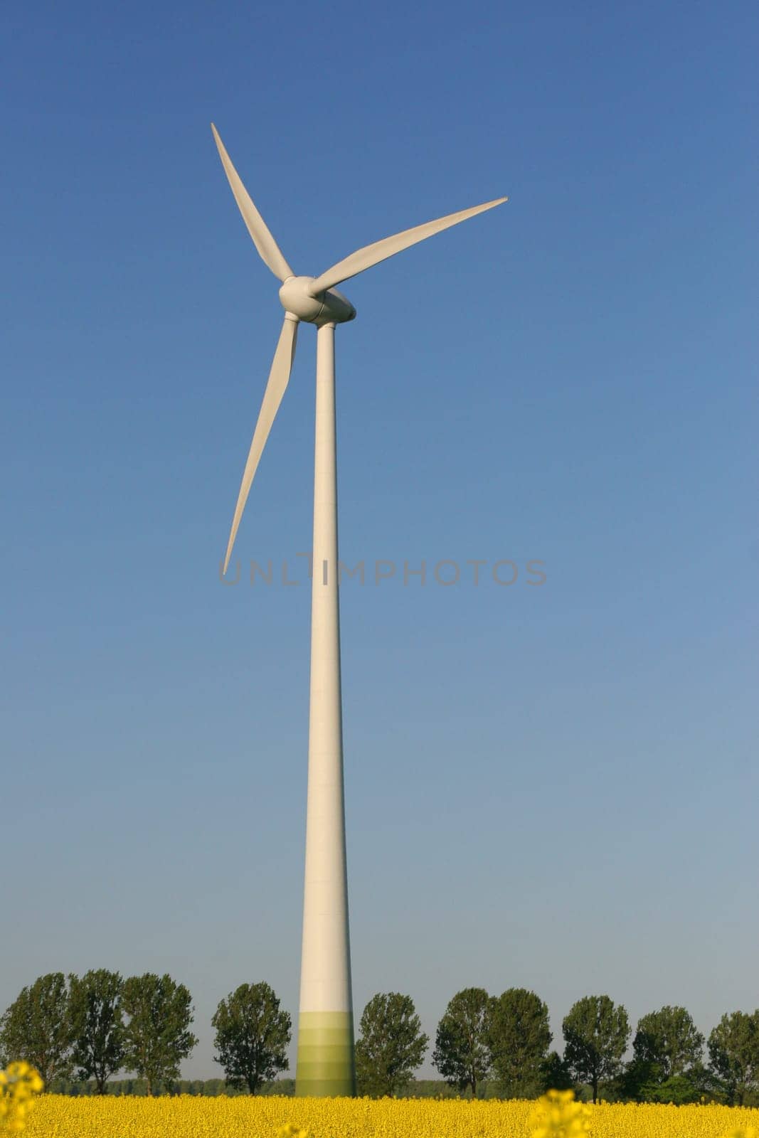 Wind turbines 5