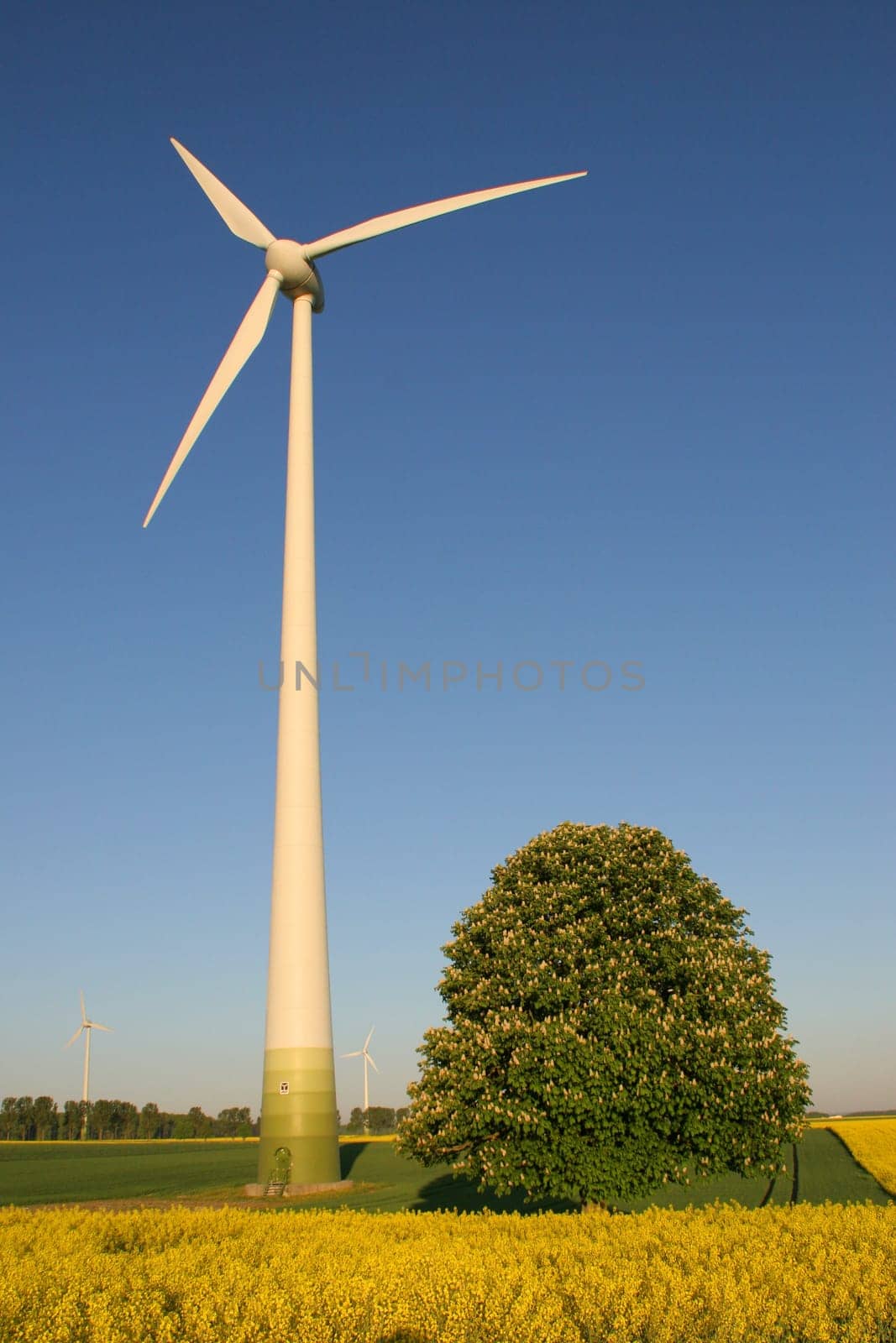 Wind turbines 3