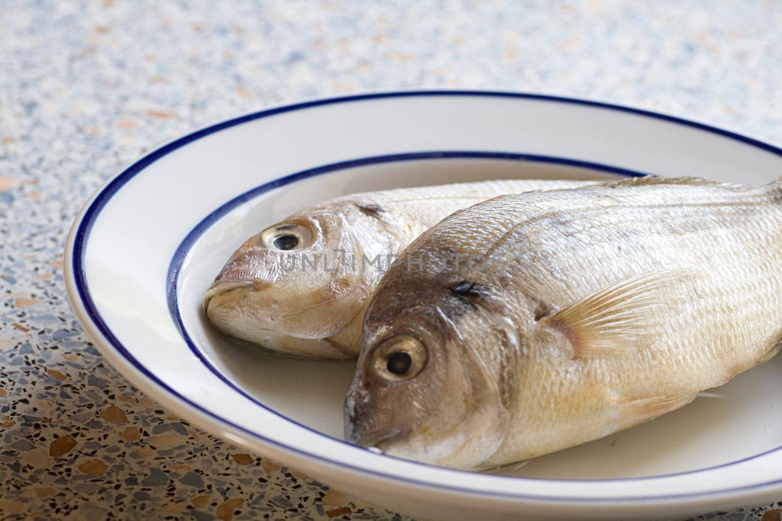 two fresh whole fish