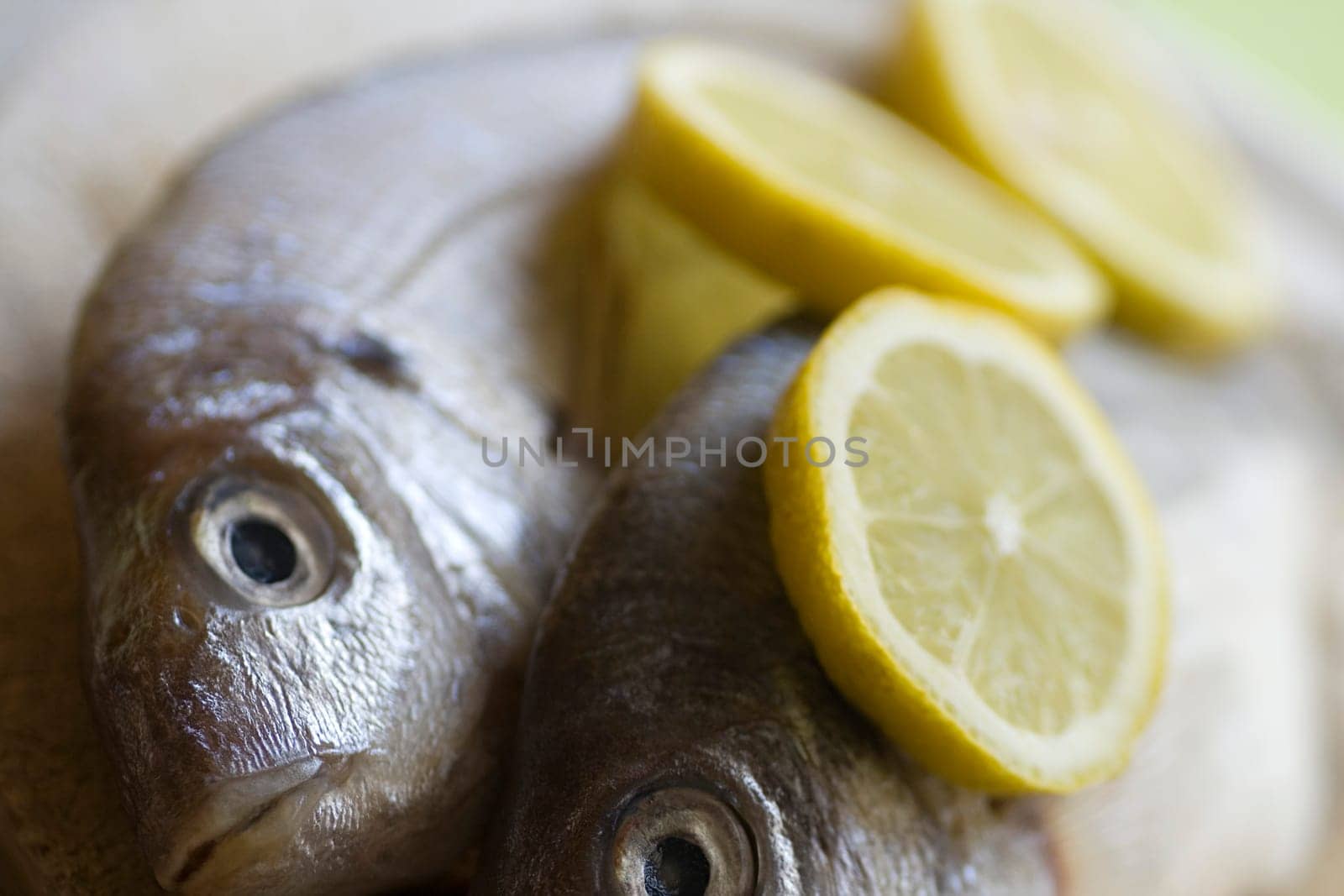 two fresh whole fish