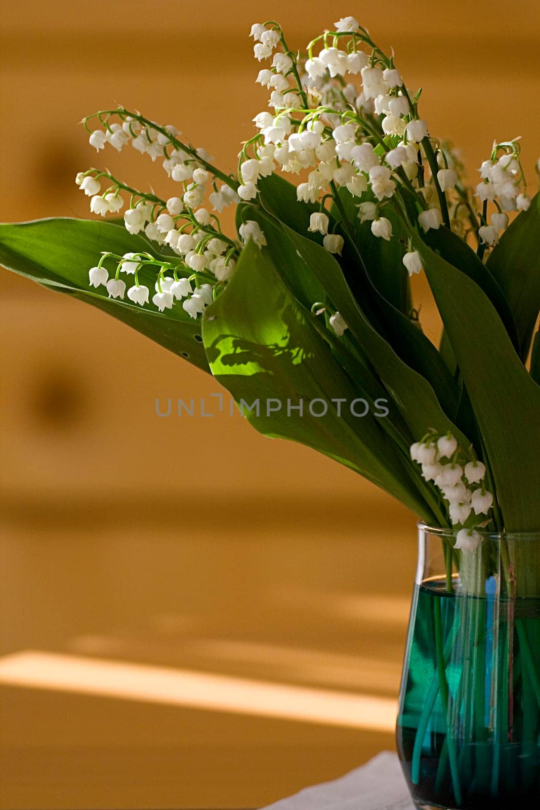 Lily of the valley in vase