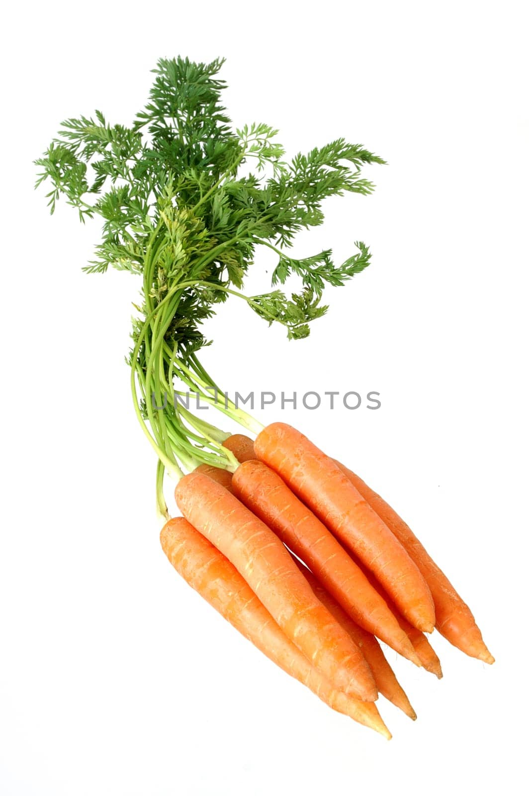 Carrot bunch