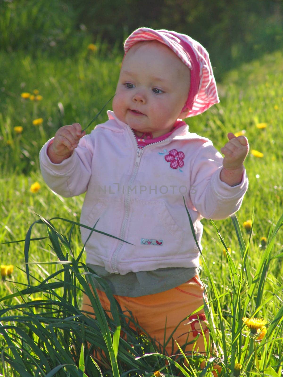 Child in flower meadow