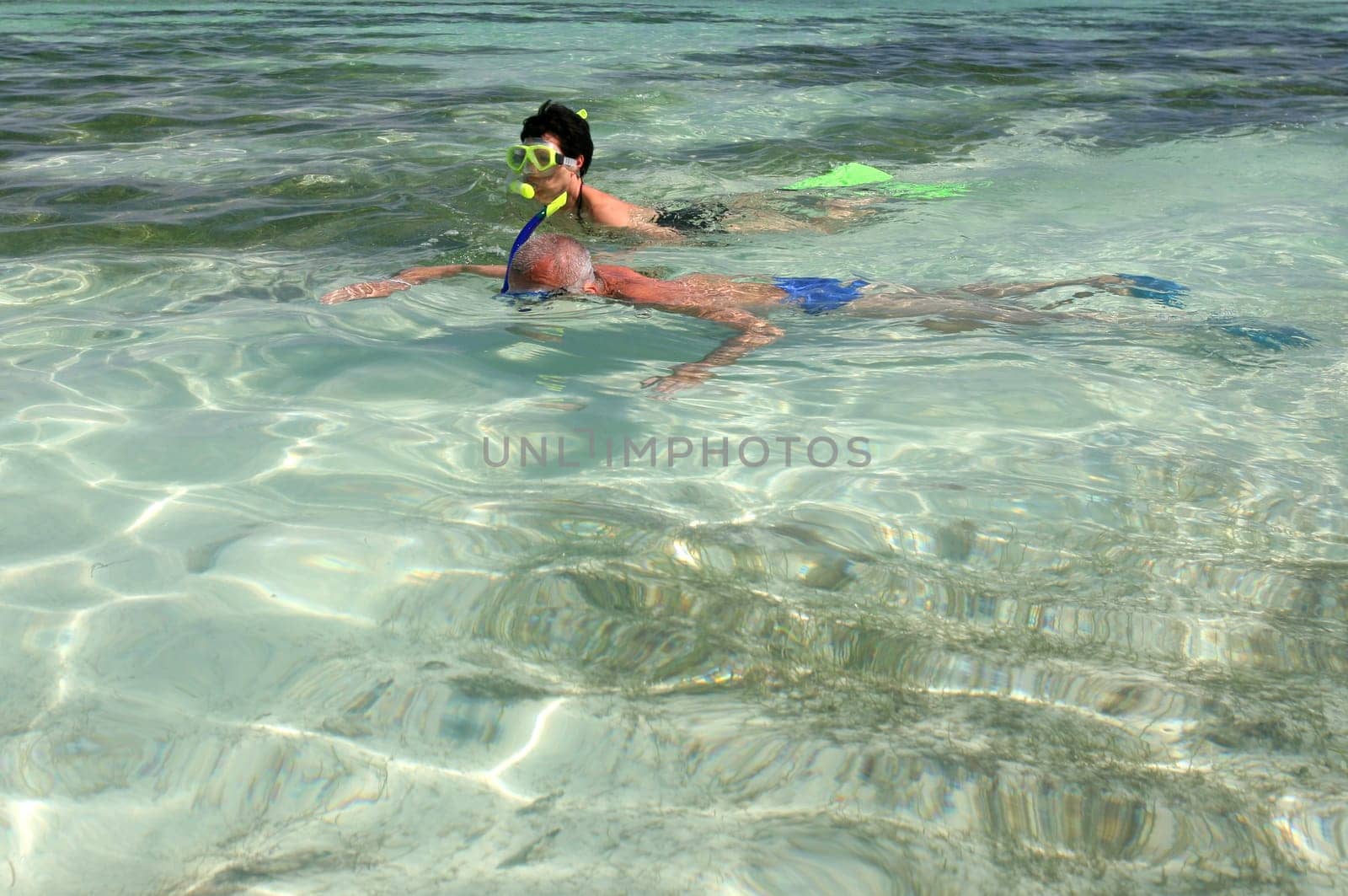 Snorkel pair