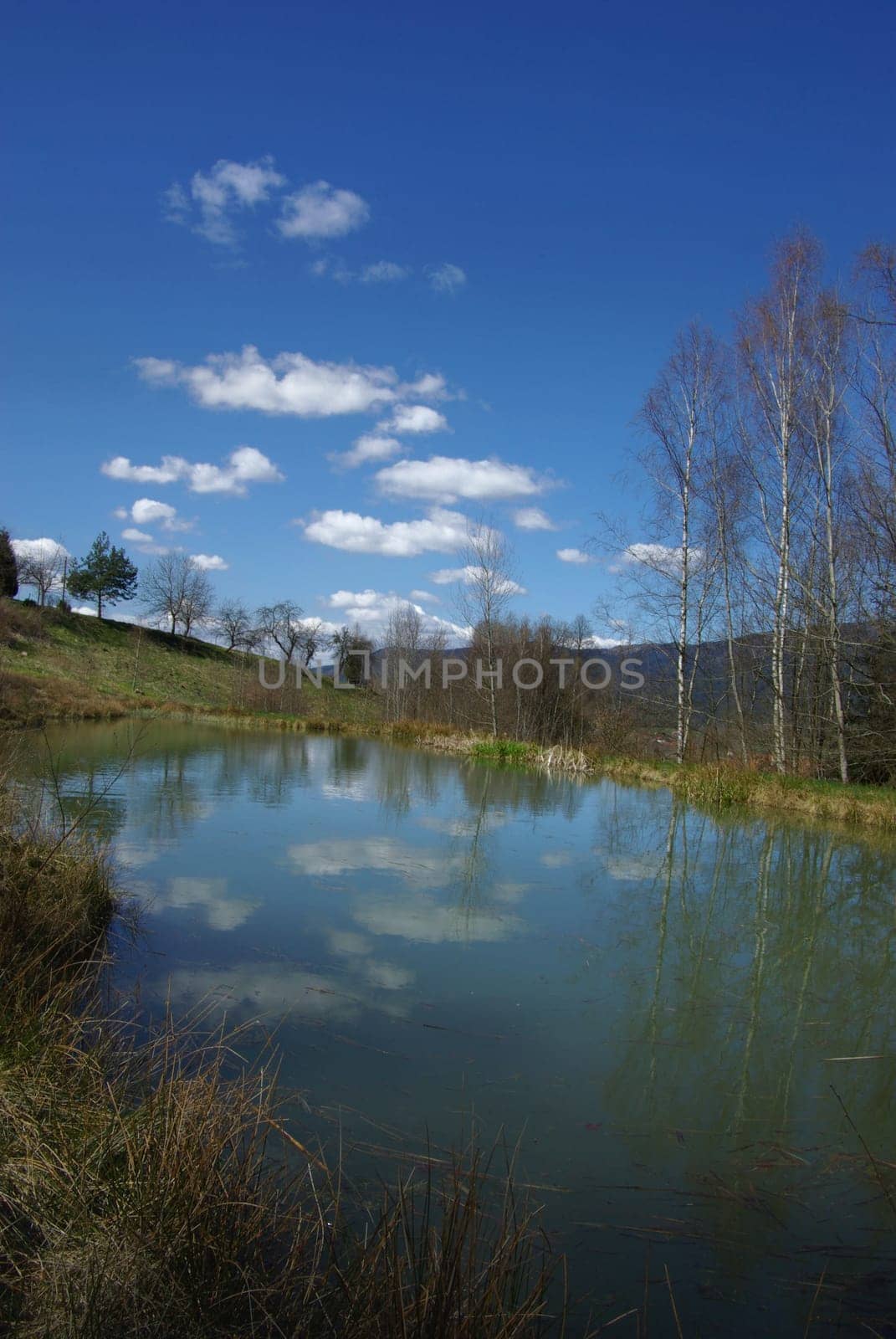 Idyll at the fish pond