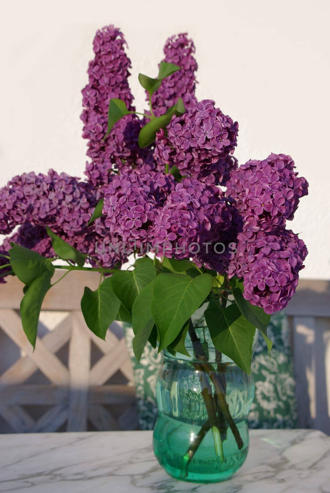 Flowers from the garden