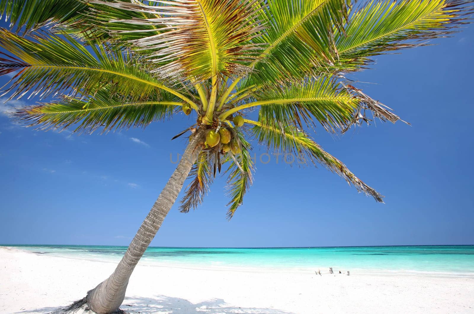 Mexican Caribbean