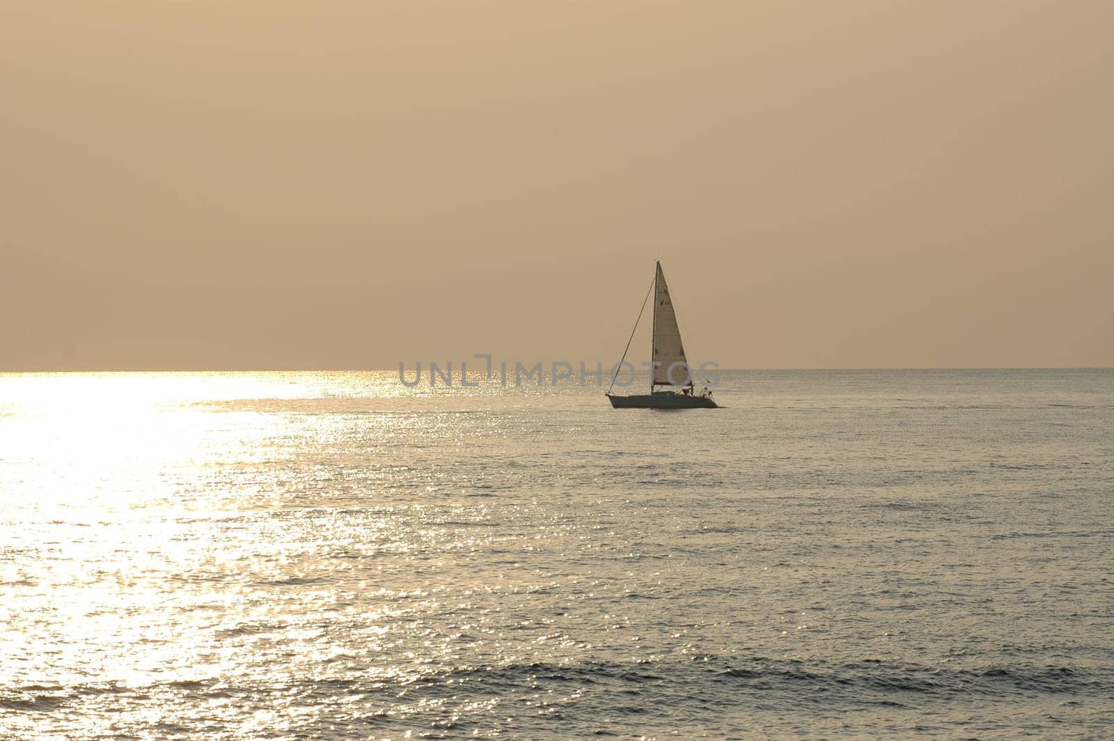 sail away 2