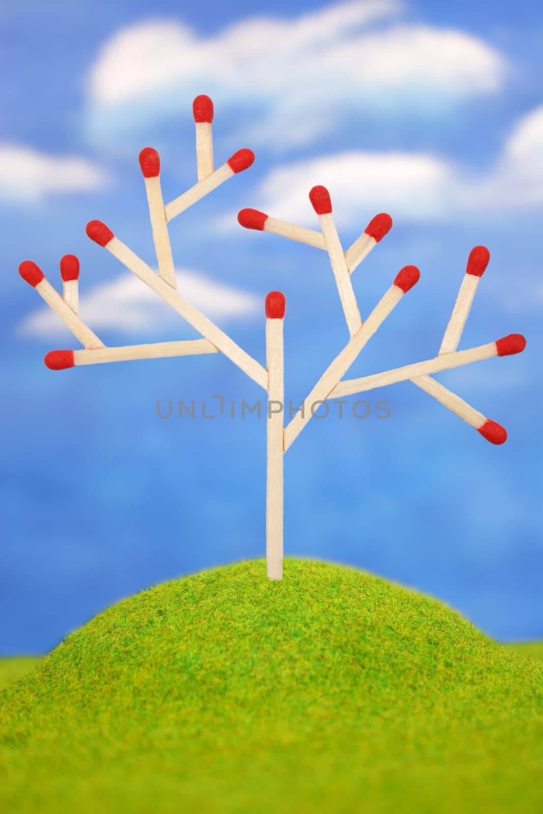 Baum am Hügel 2 D