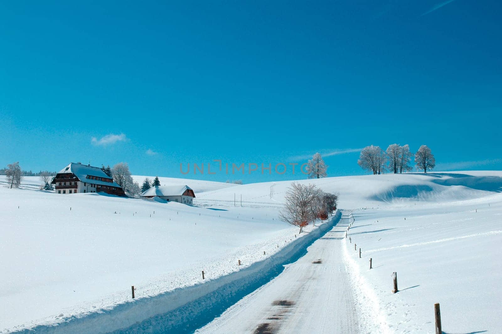Winter Trail
