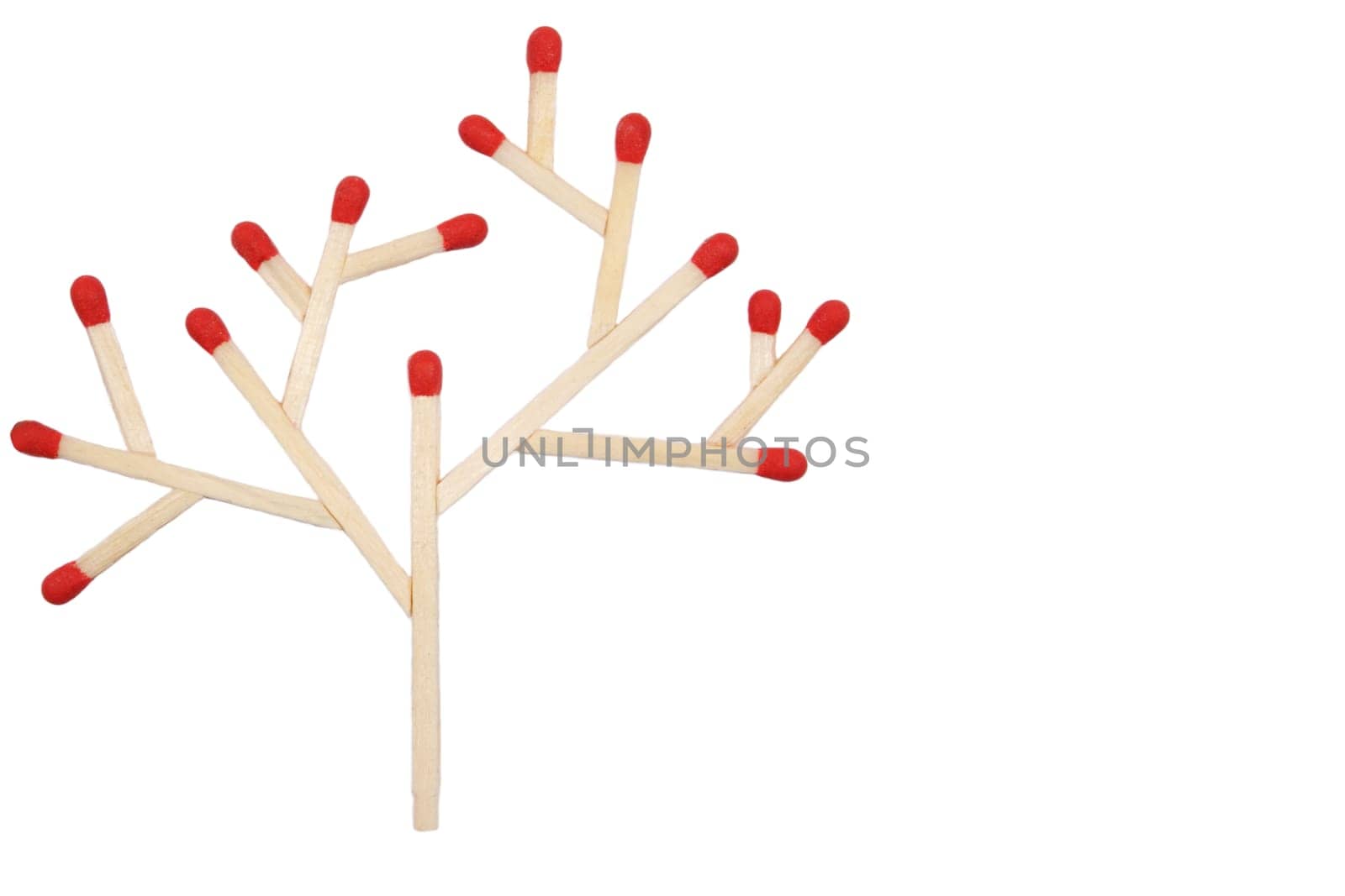 Tree 2 D 1