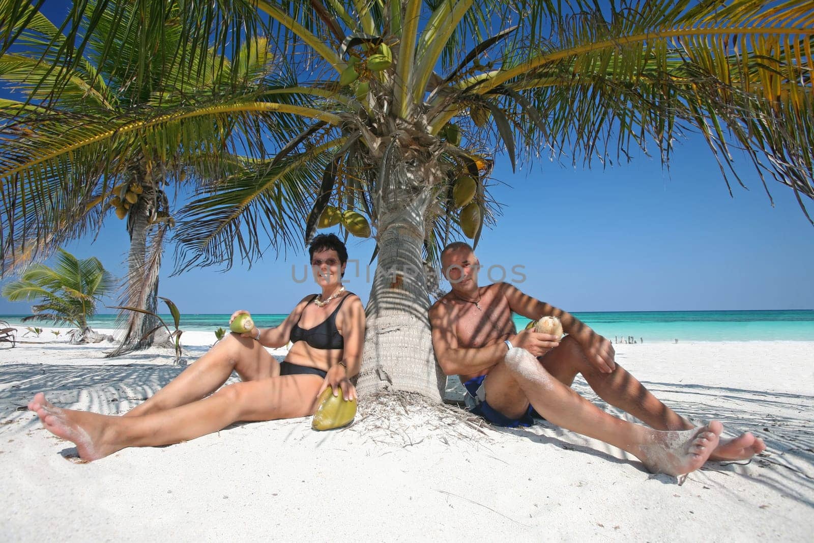 in the shade of the palm tree