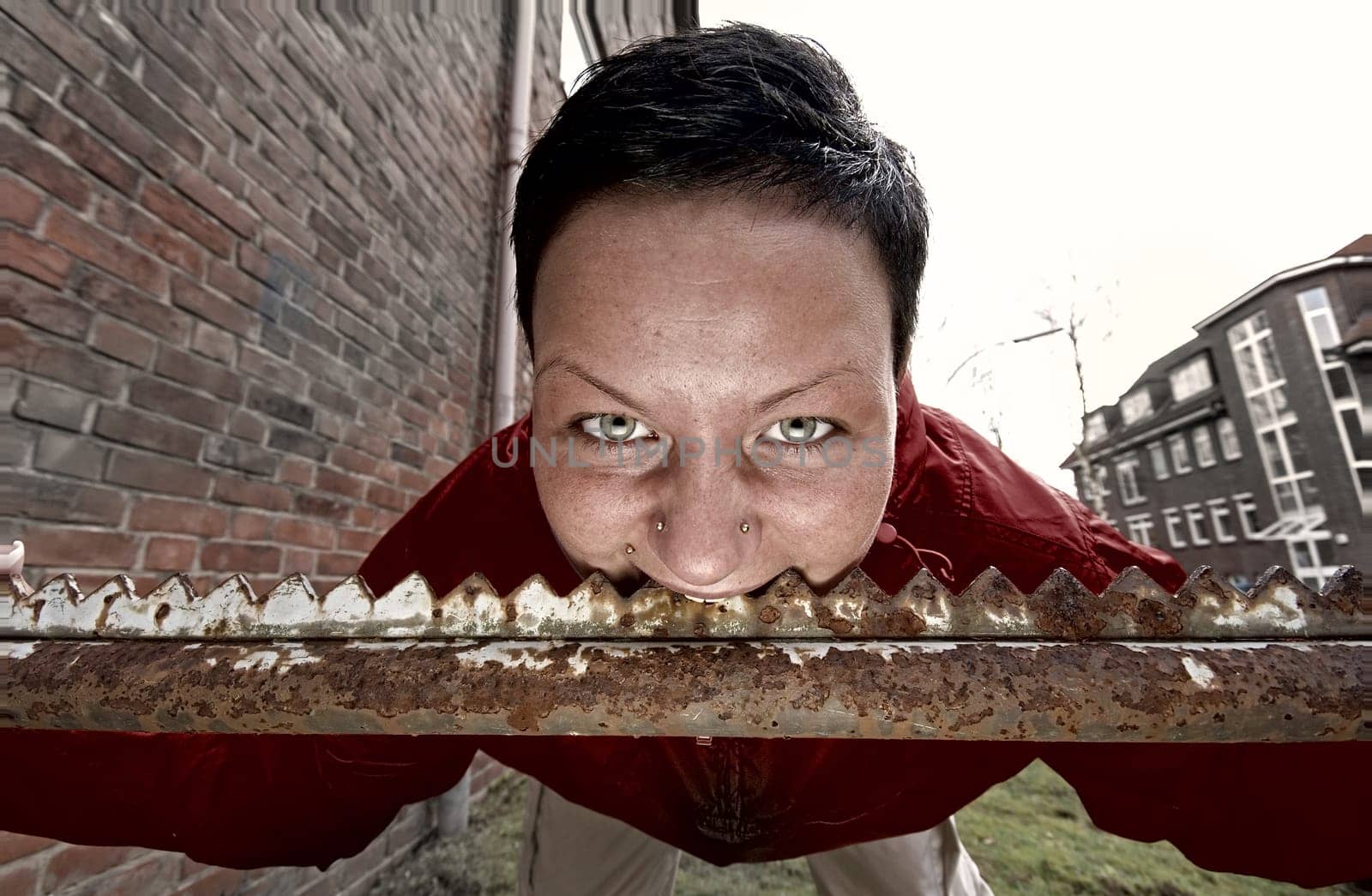 Row of teeth