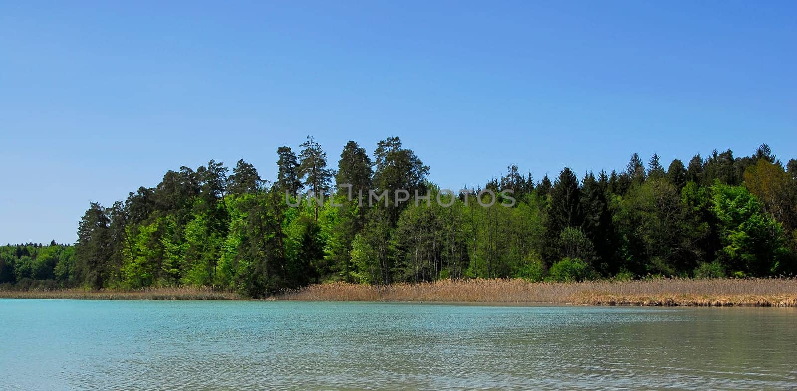 At the Ostersee