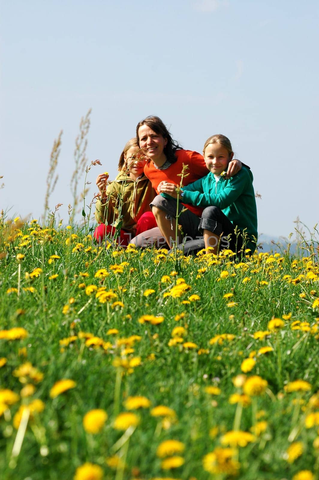 Family in the meadow 2