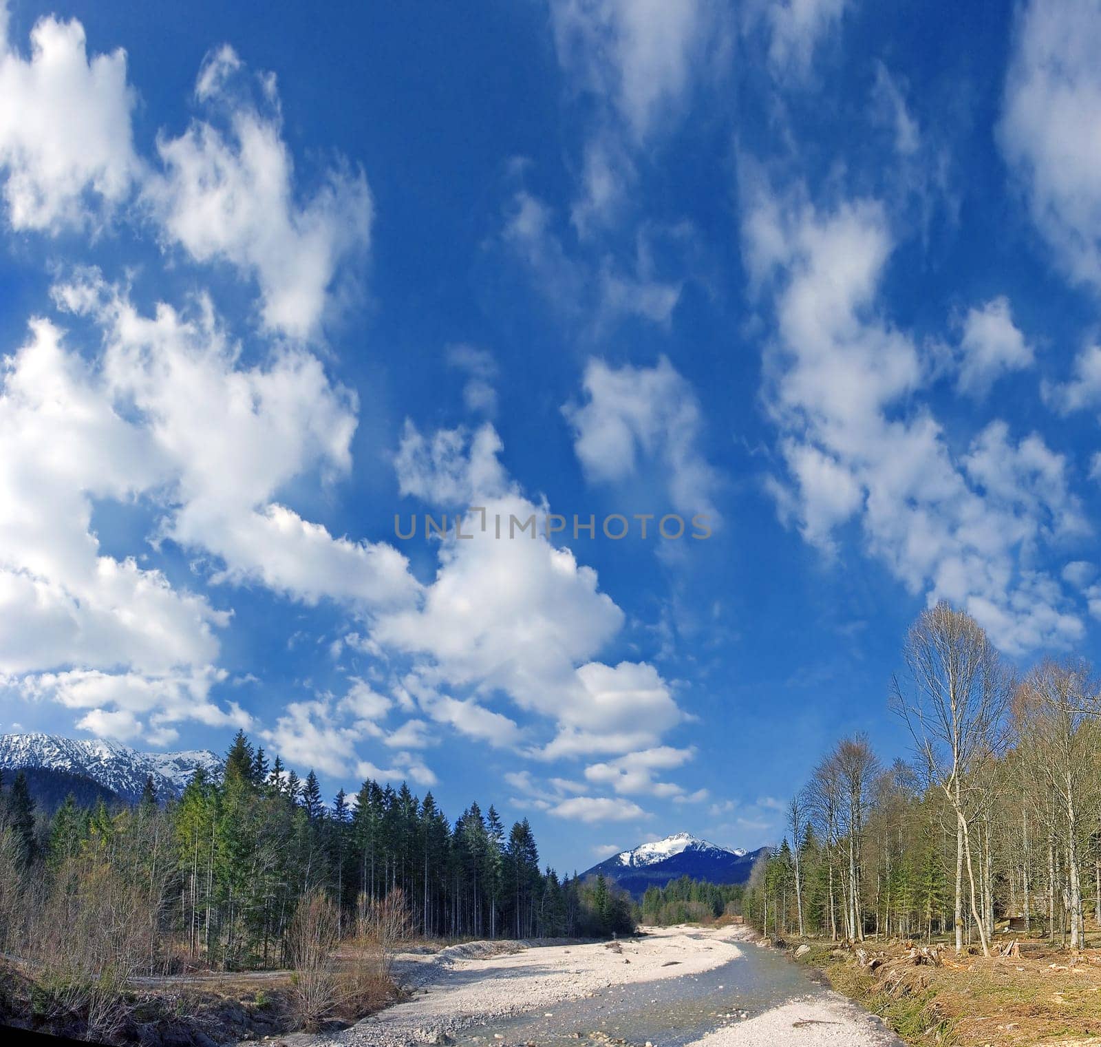Alpine sky