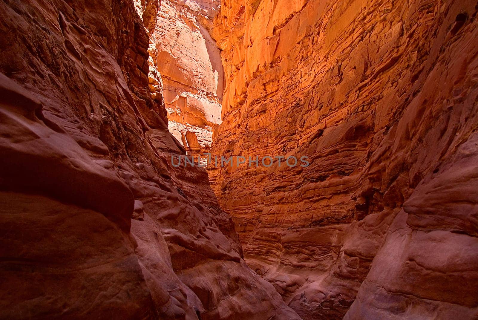In the Colored Canyon