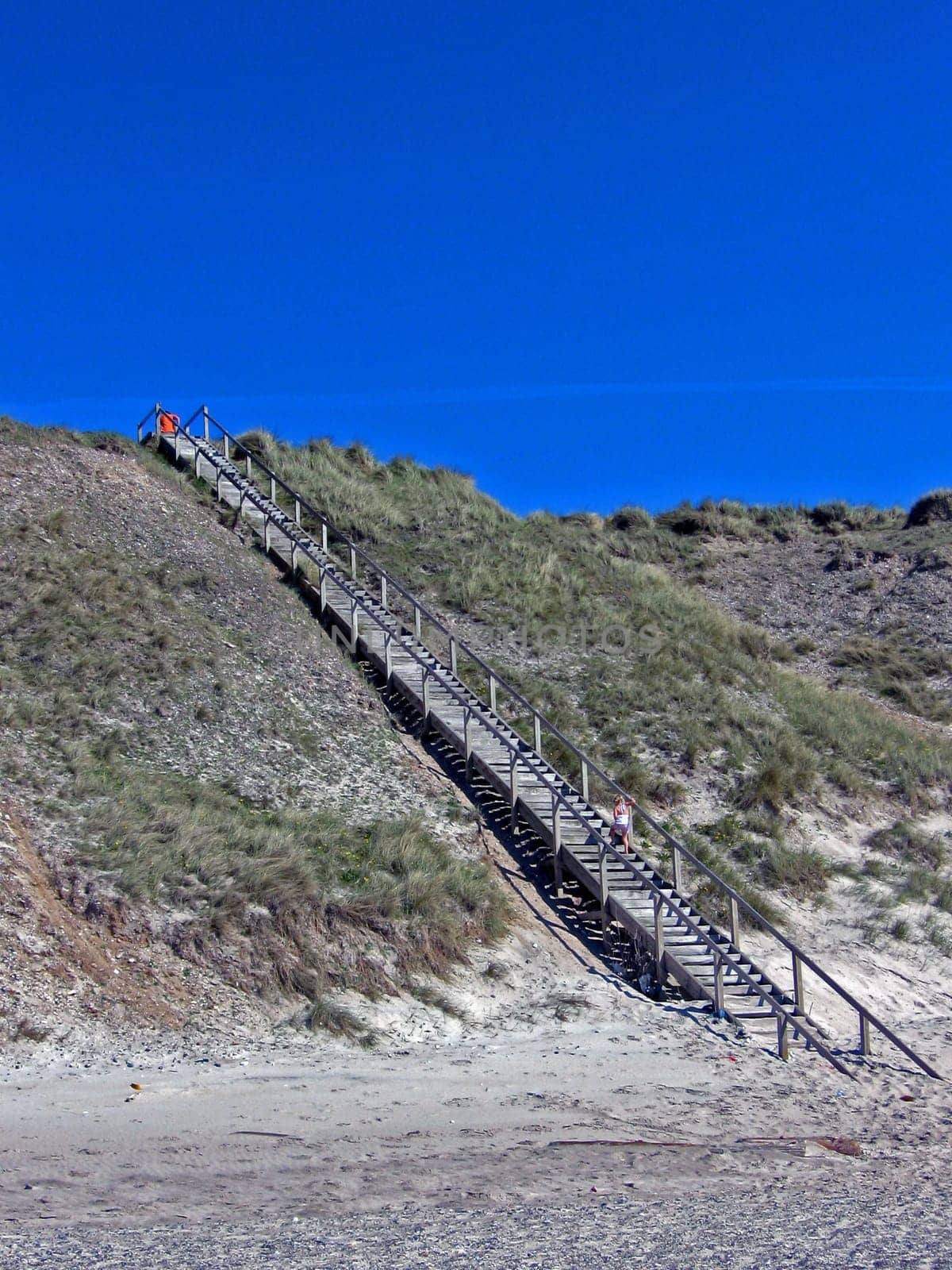Up to the blue sky
