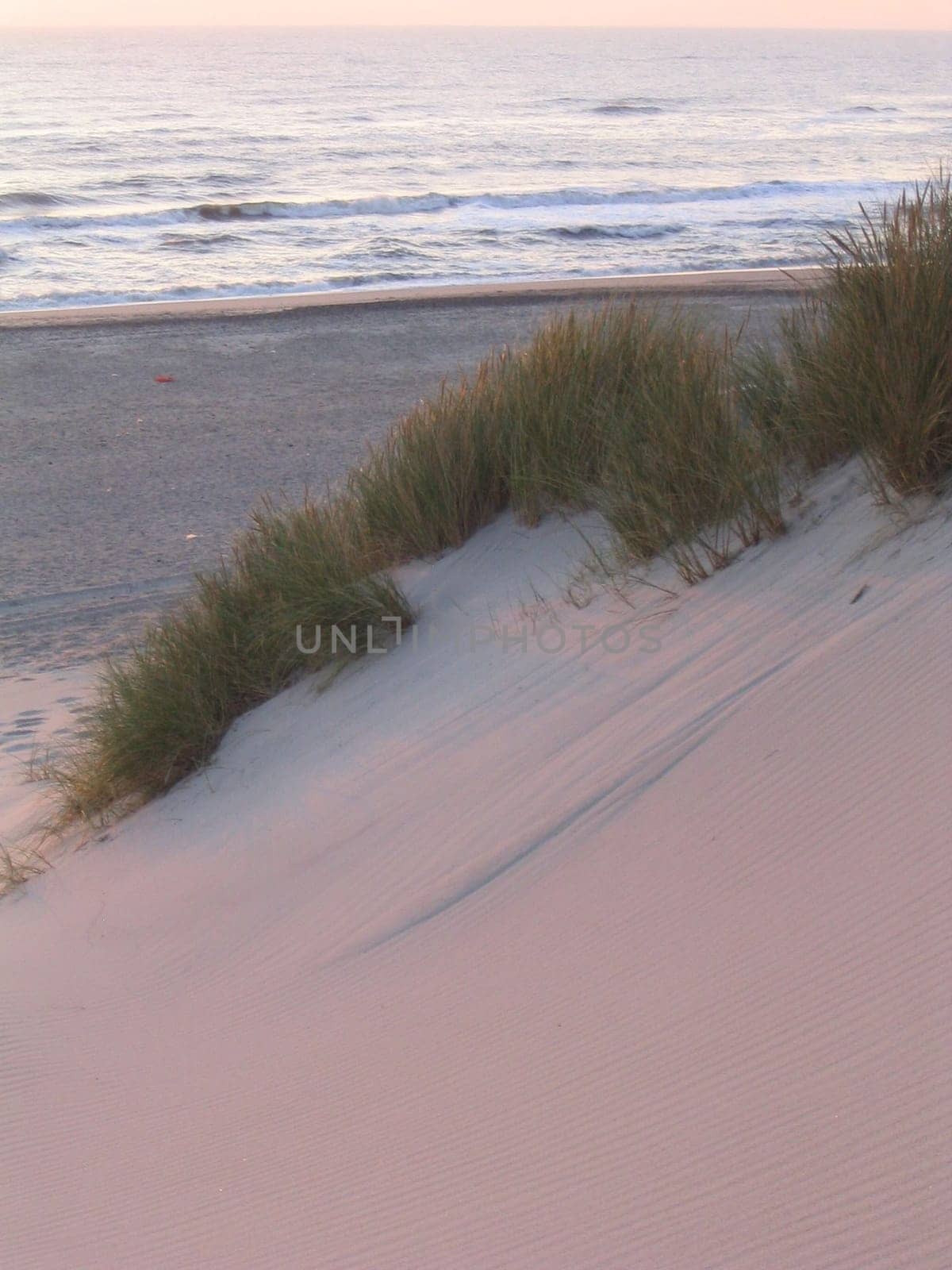 Dune at sunset