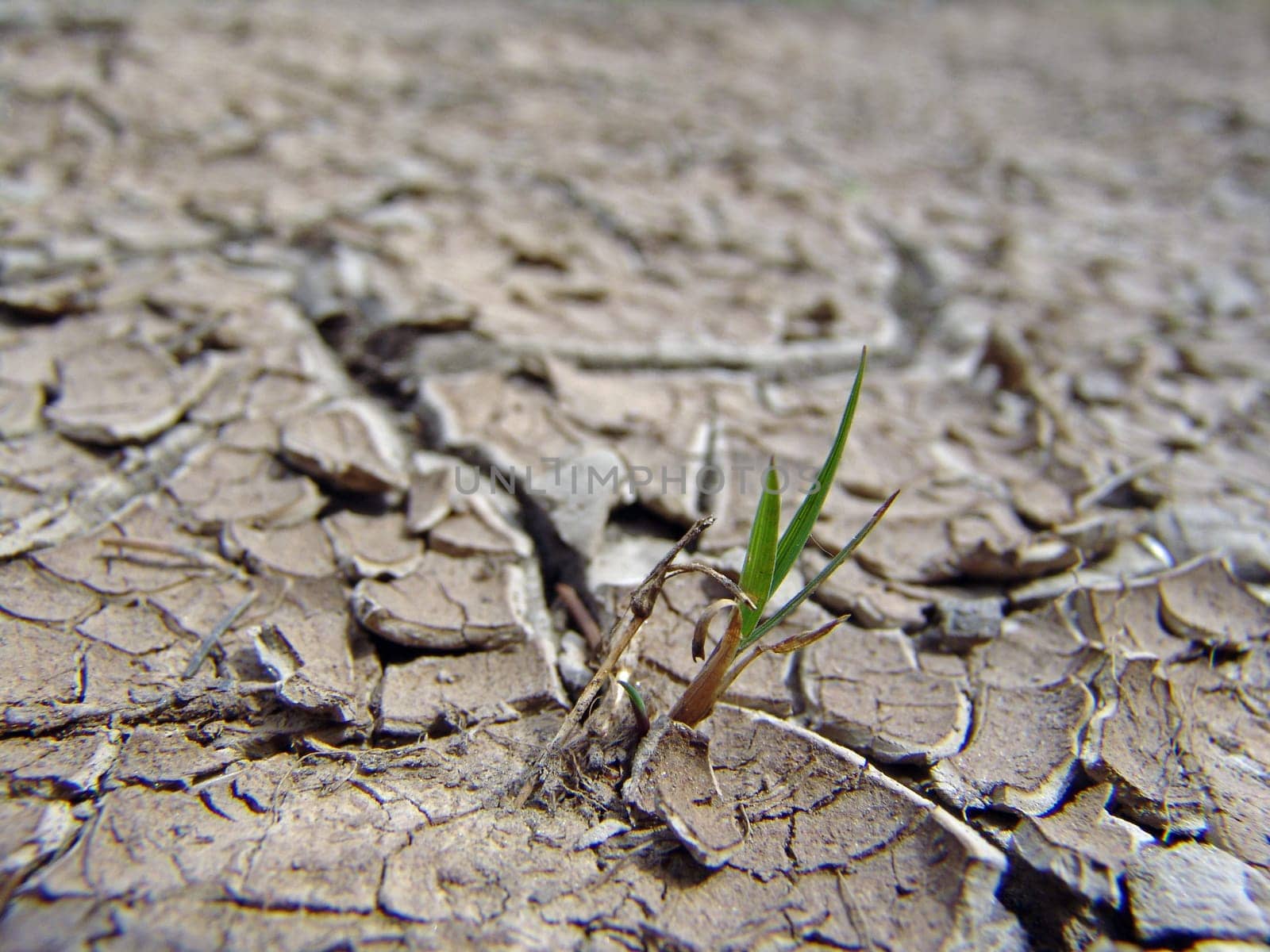 Dryness