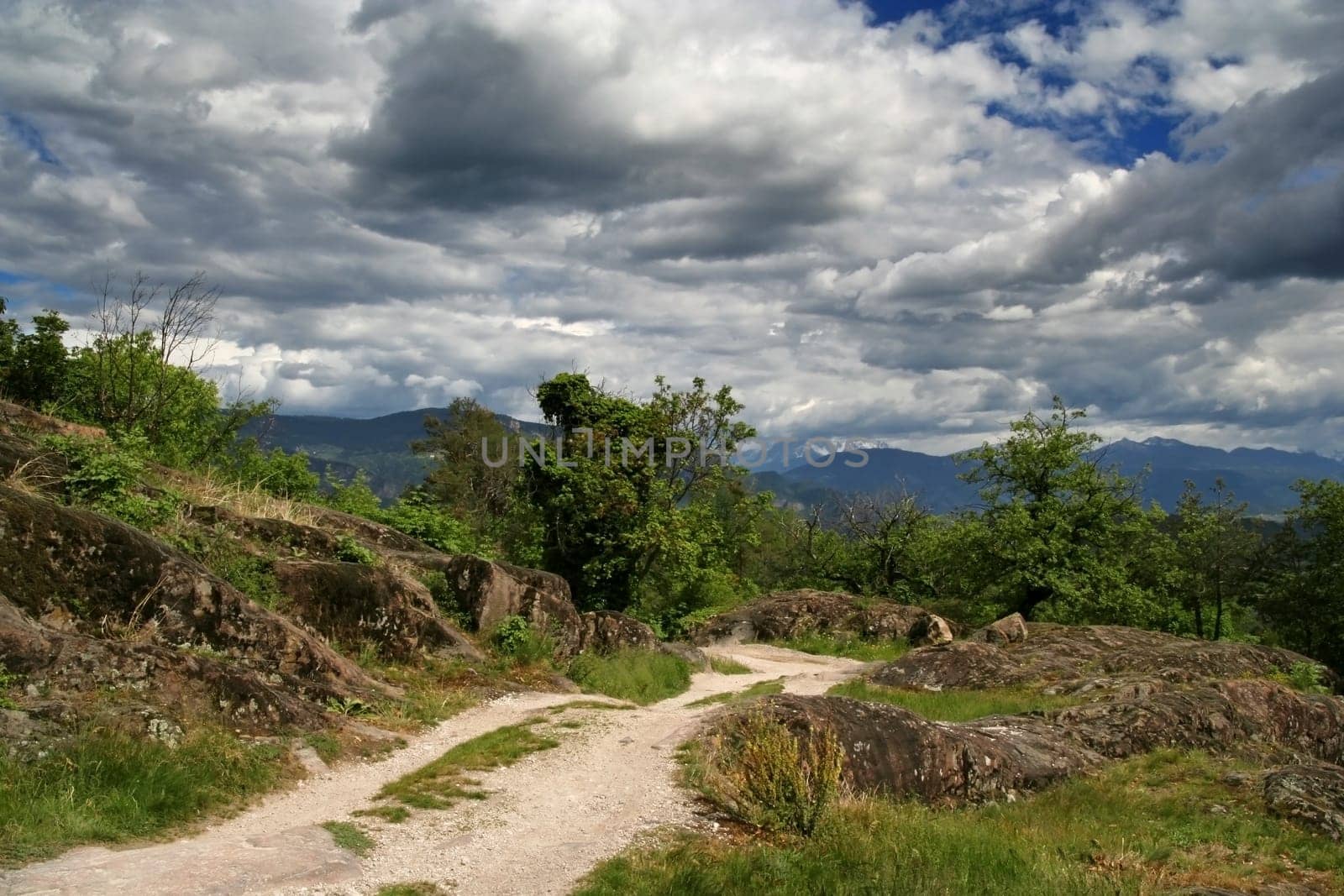 the way
