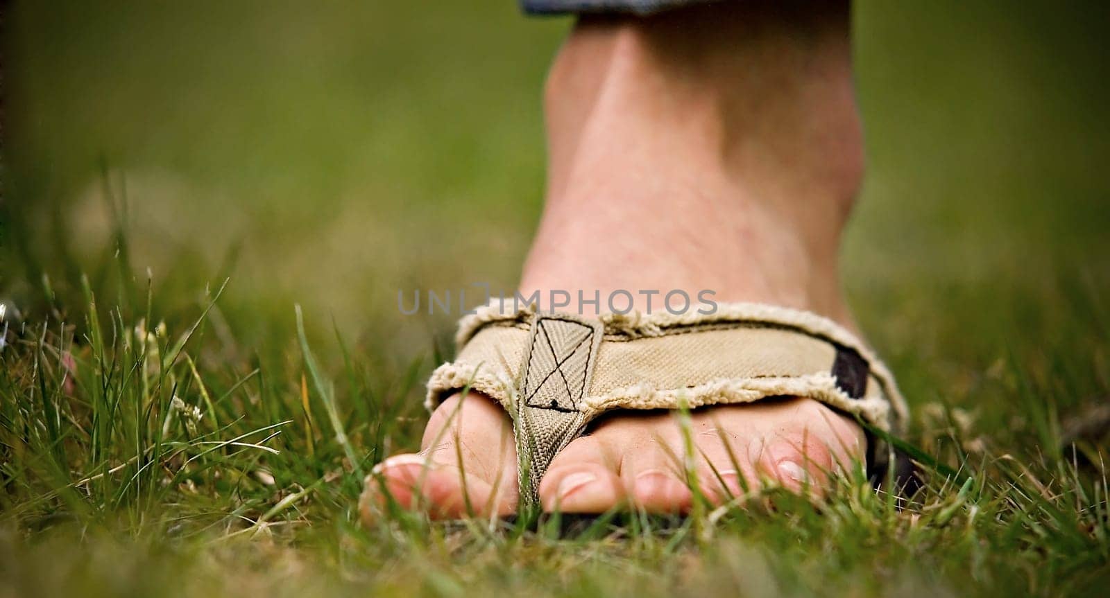 Between the toes