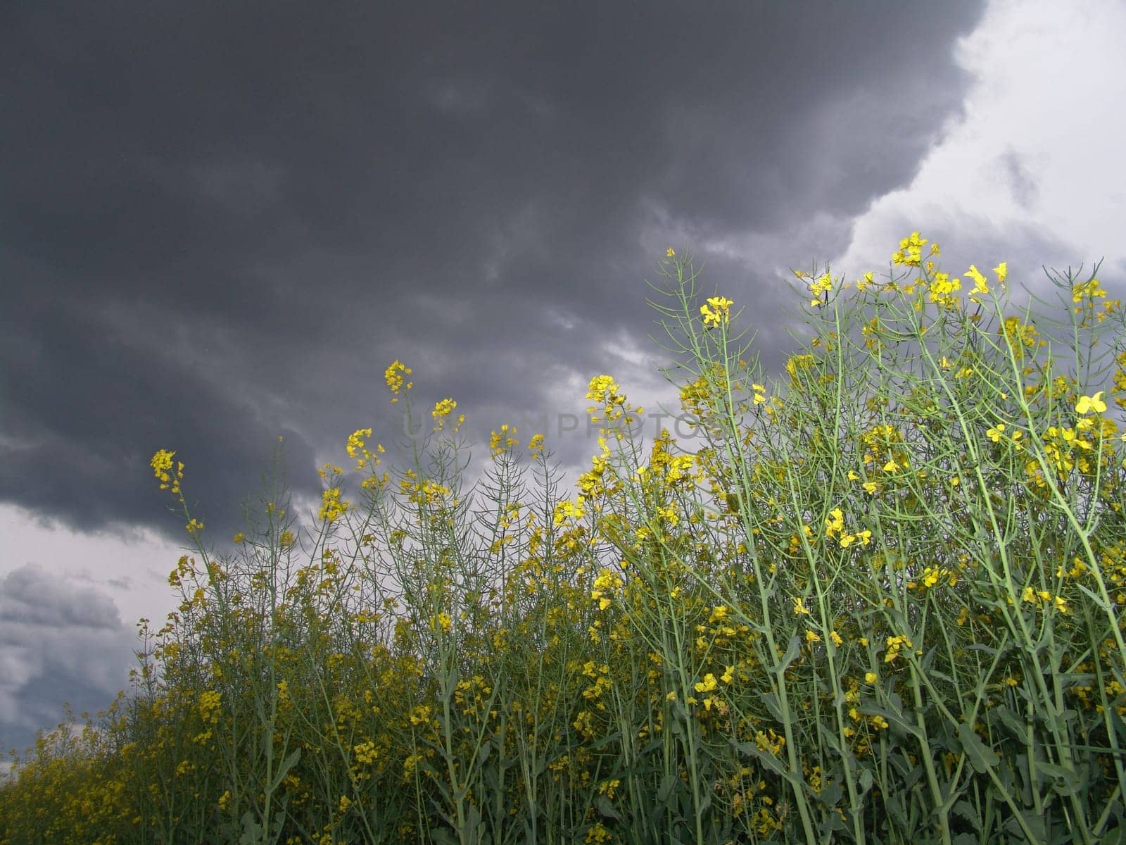 Spring thunderstorms