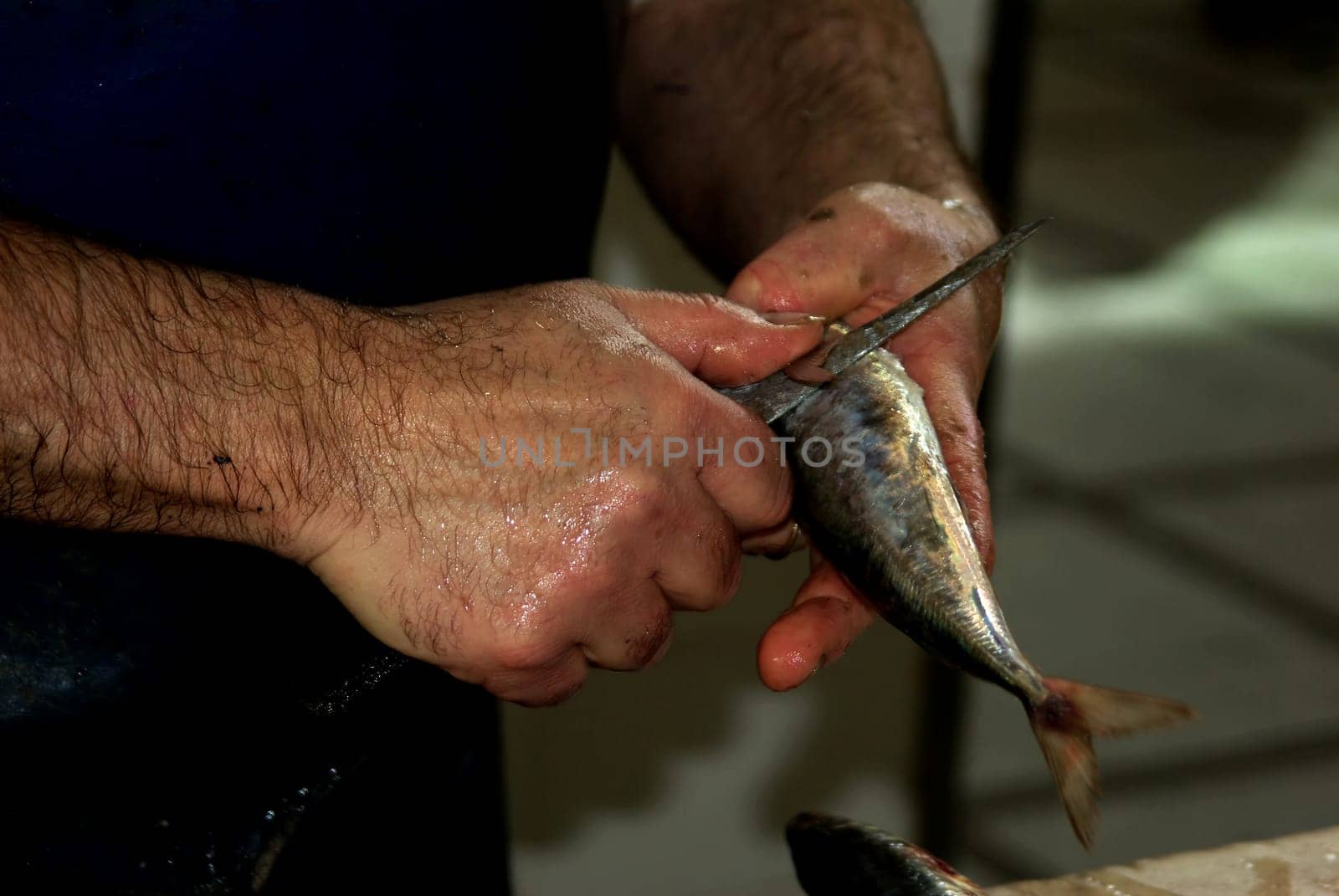 Fisherman