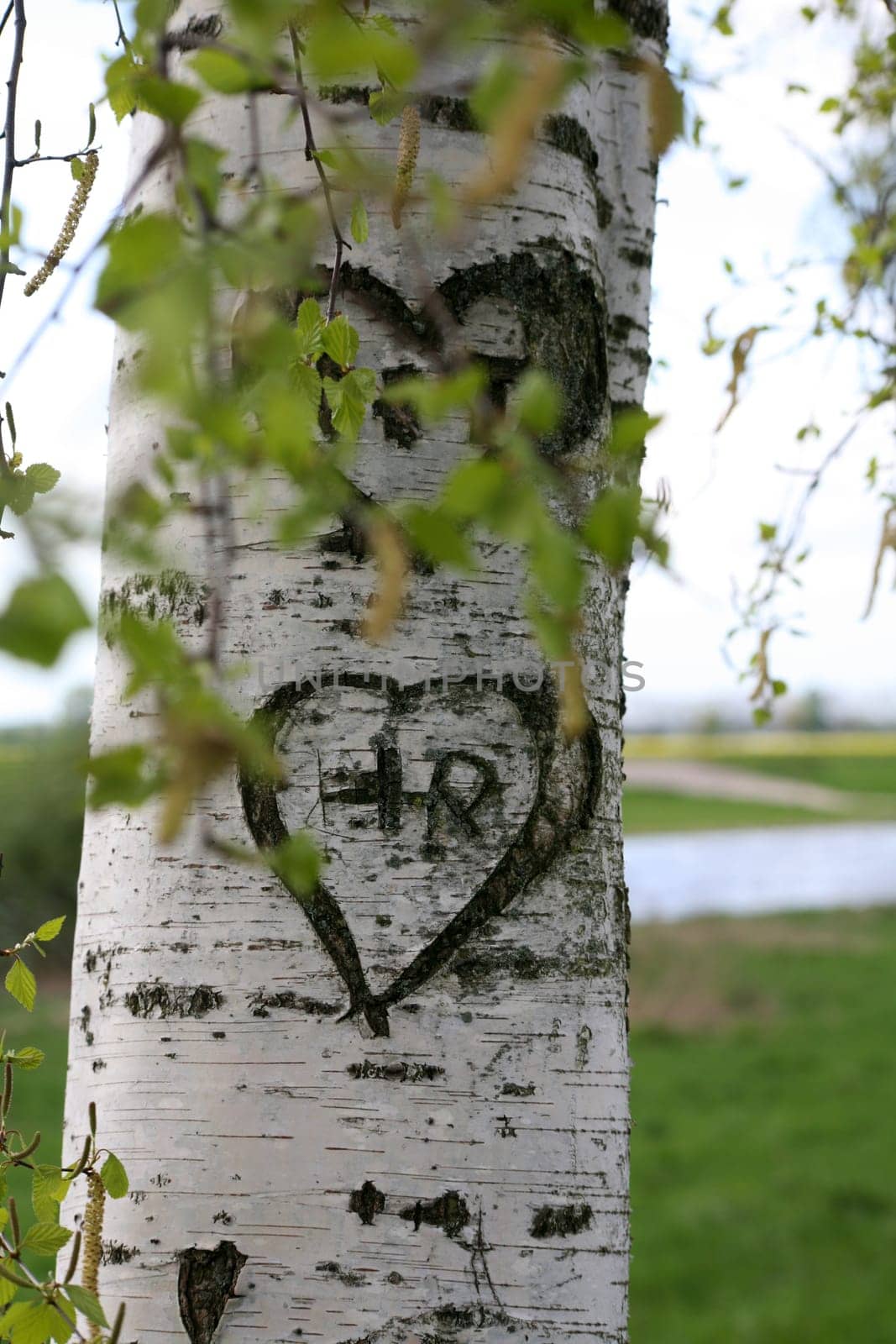 Oath of Love