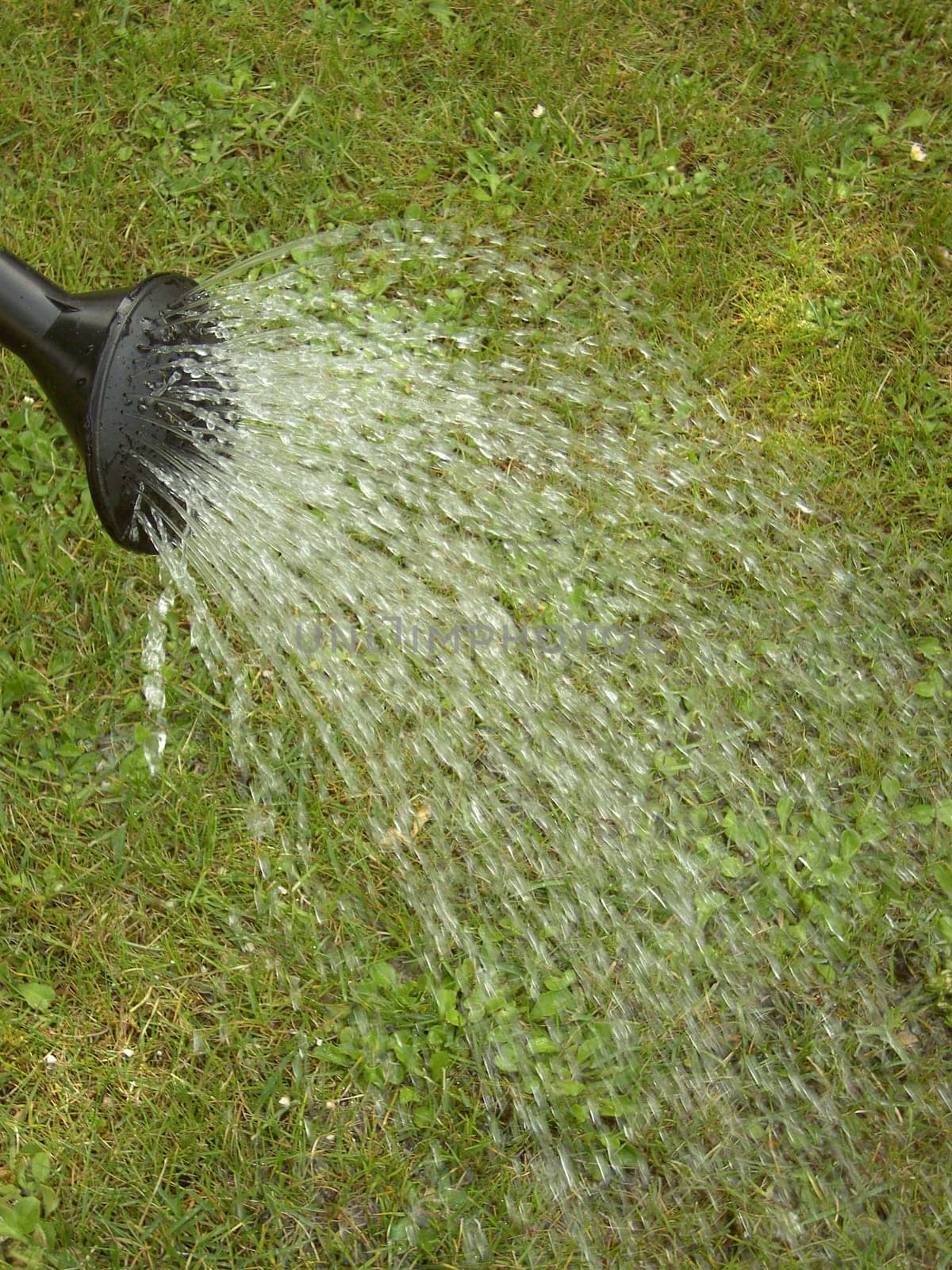 Watering can 02