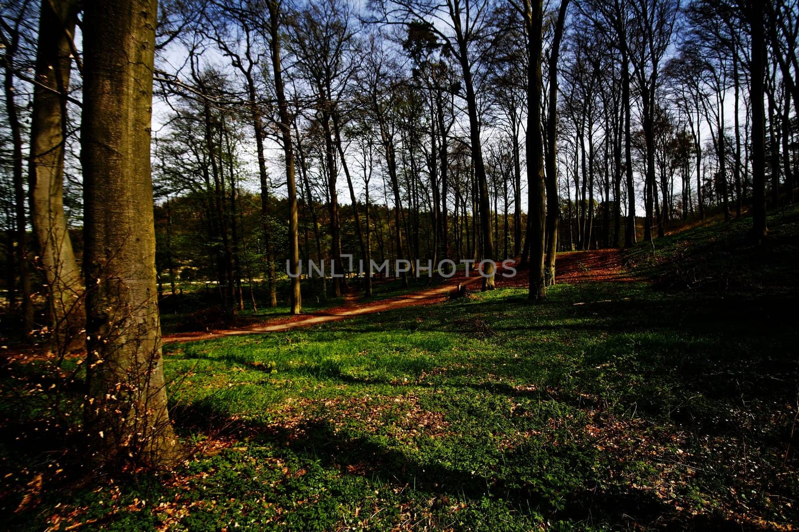 The path through nature
