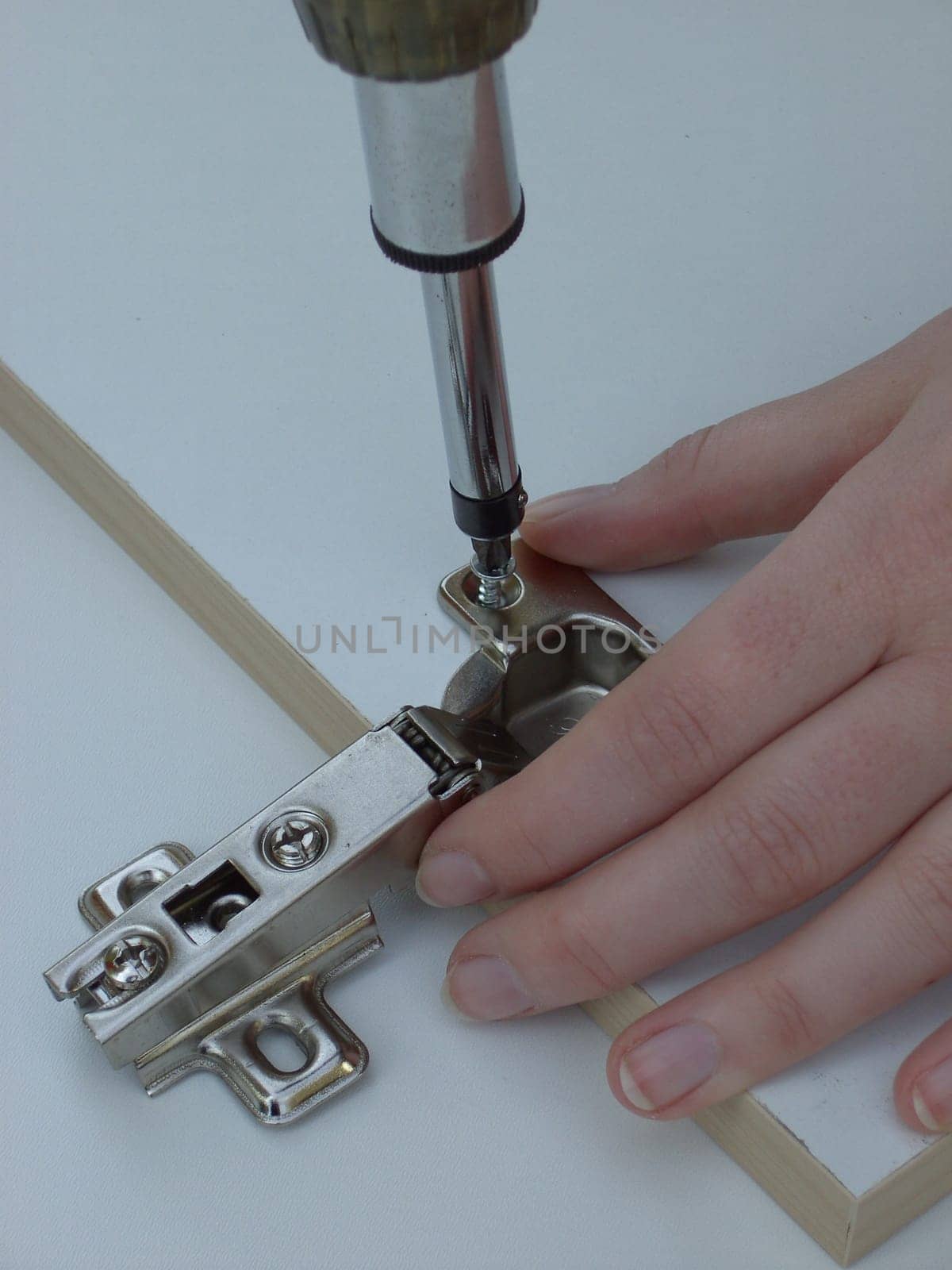Hinge 01