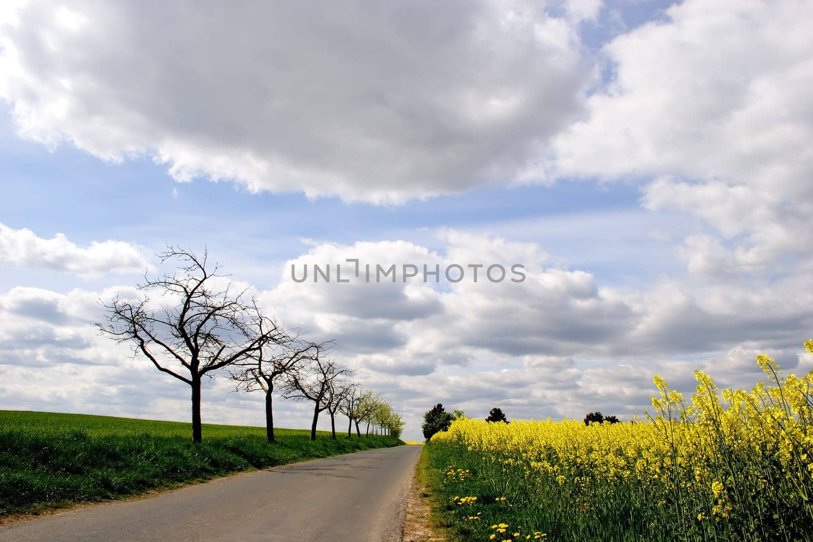 The way