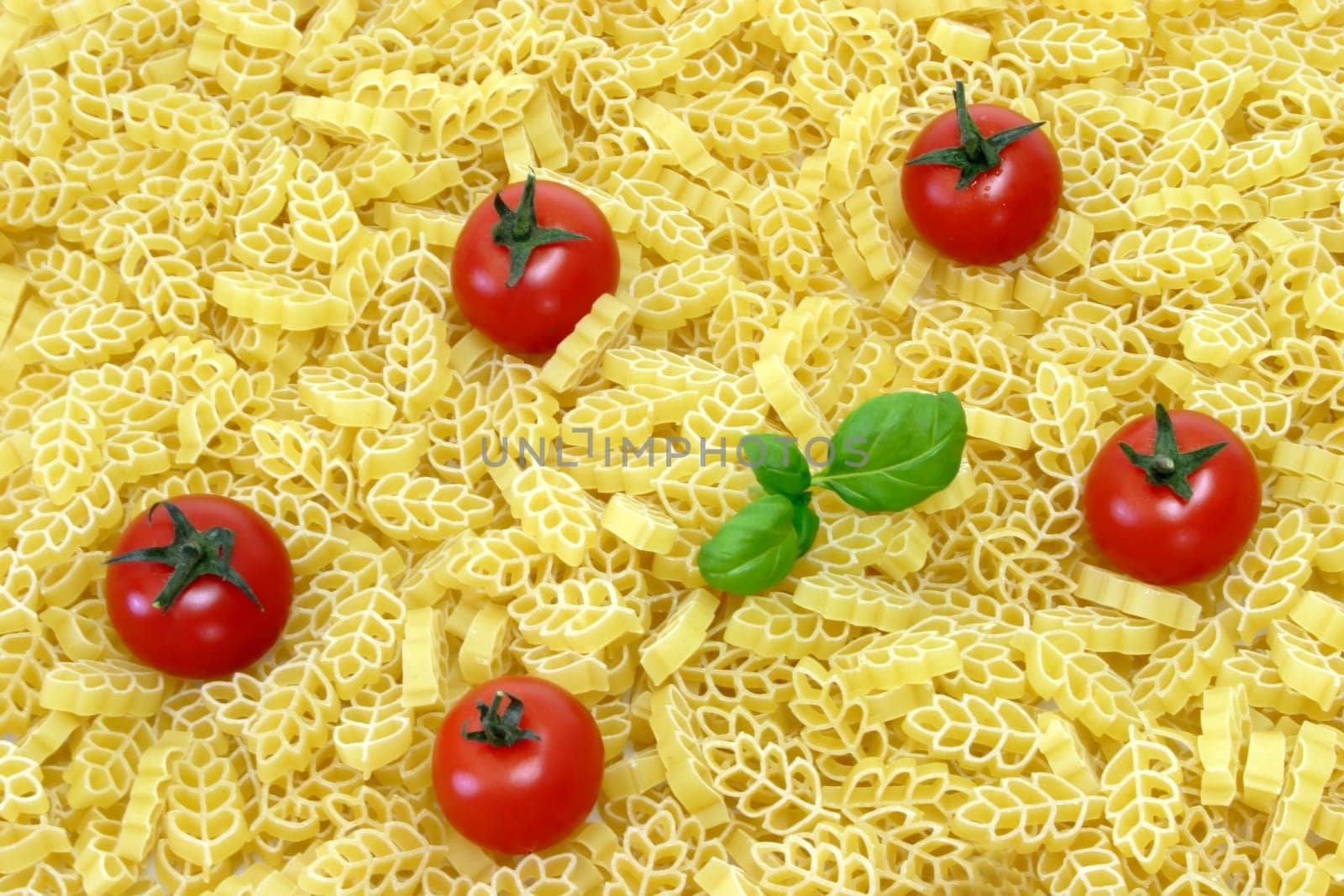 Noodle Poster