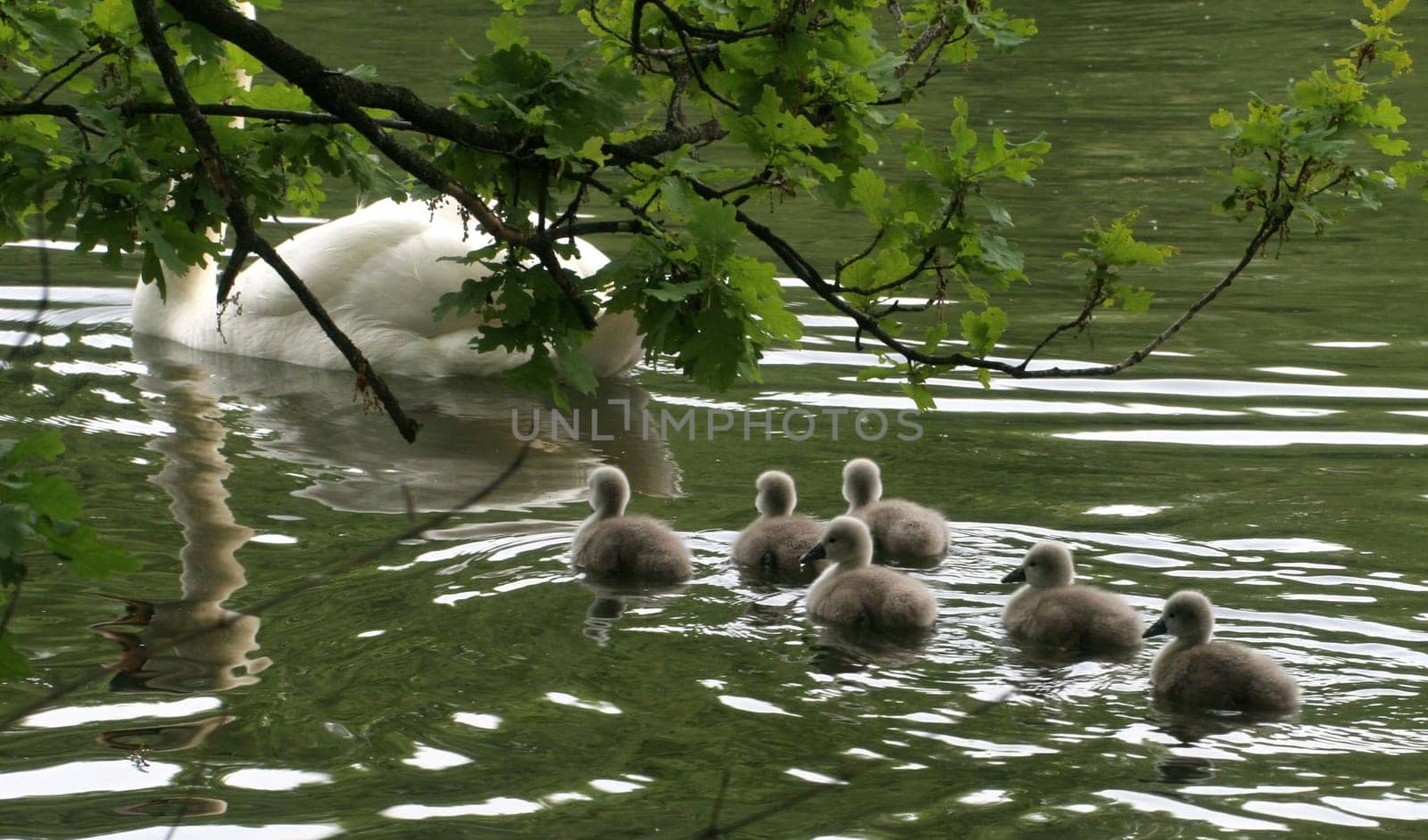 ... fleeing from my camera...